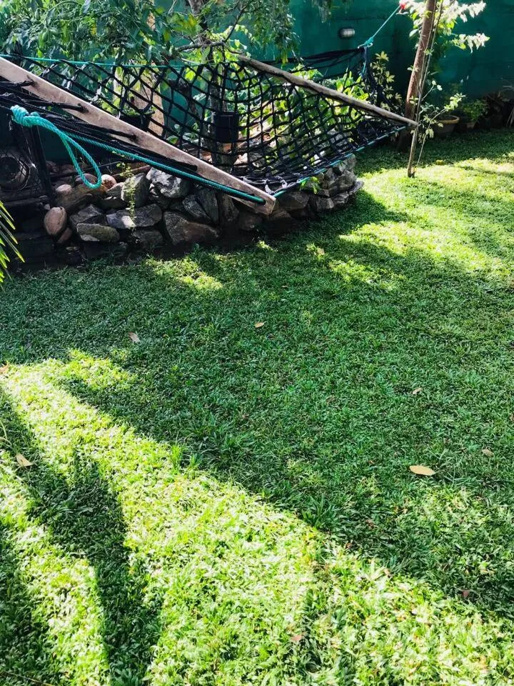 Garden in House of Seya