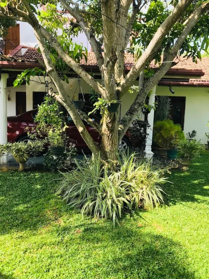 Garden in House of Seya