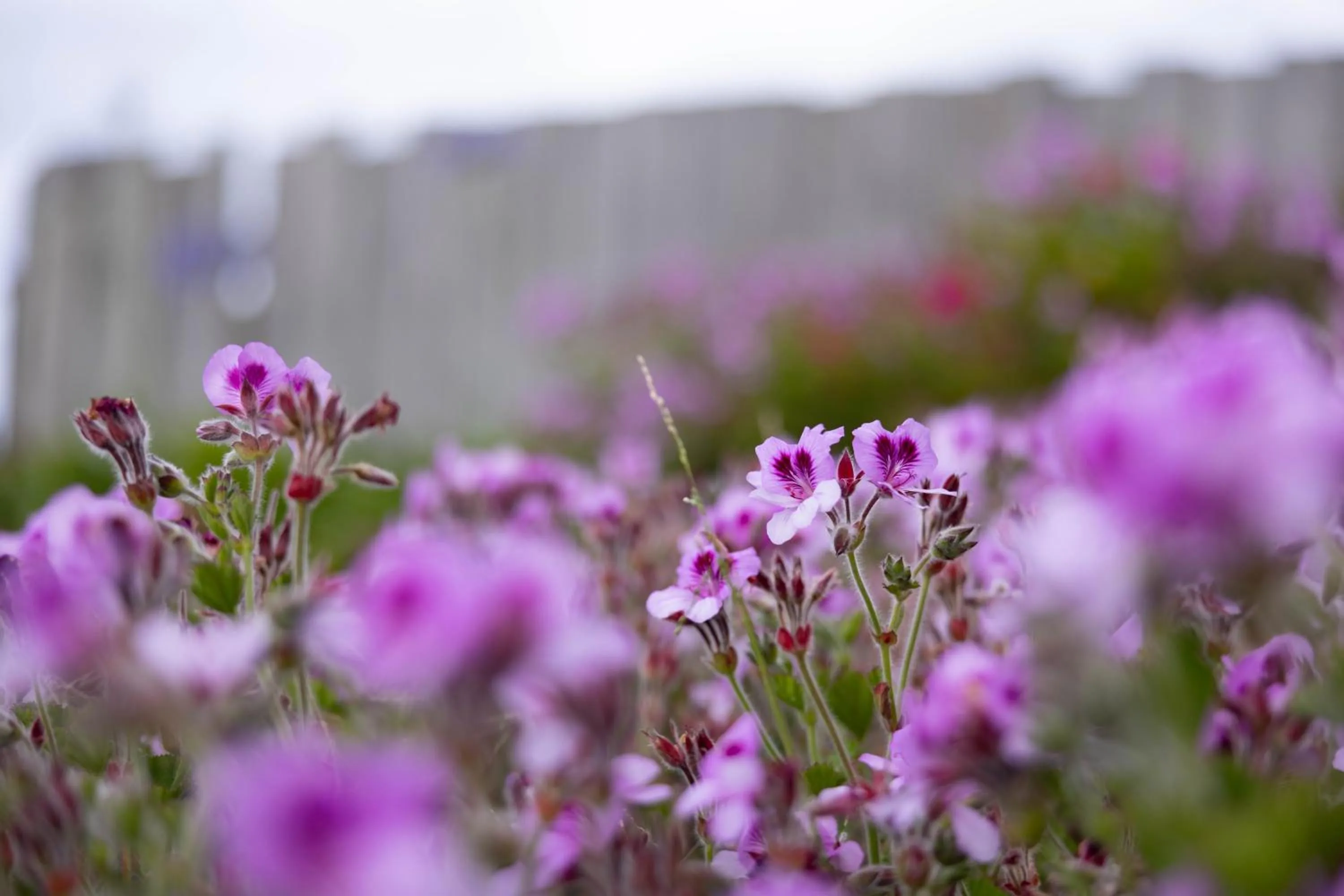 Baudins Accommodation
