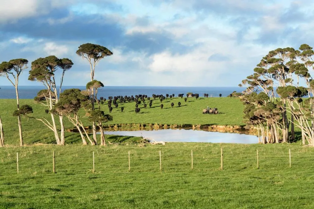 Natural landscape in Baudins Accommodation