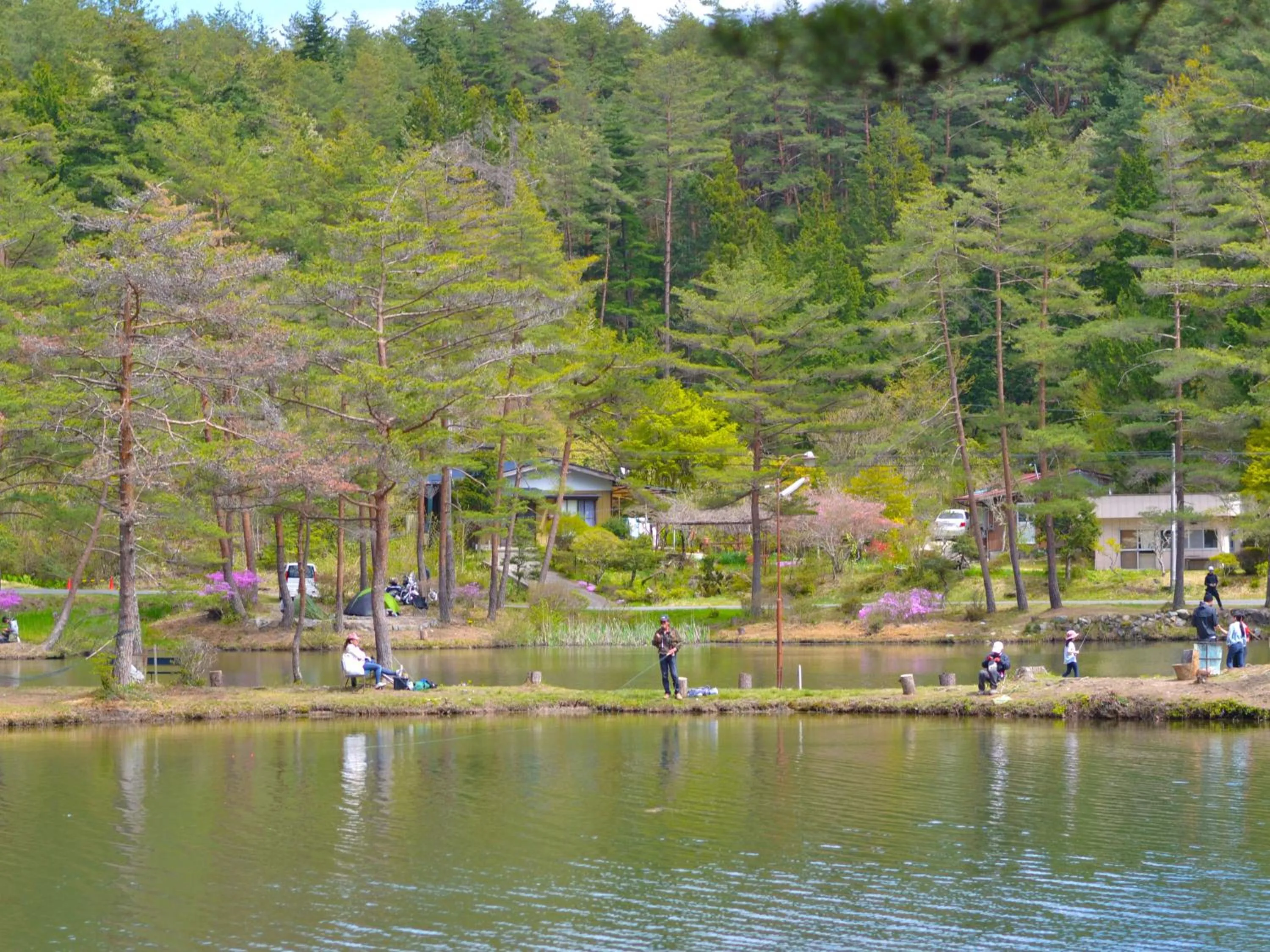 Fishing in Oogute Kohan Shirasagi So