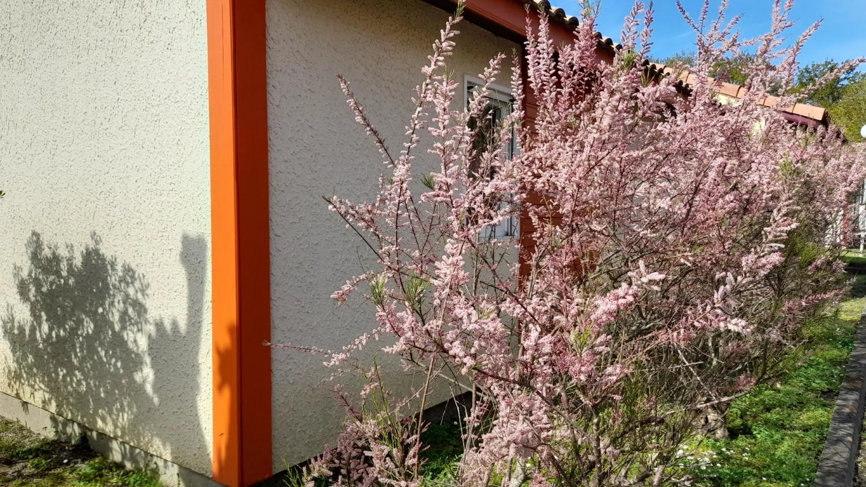 Résidence Mes Amours d'Enfants - Les Villas du Lac