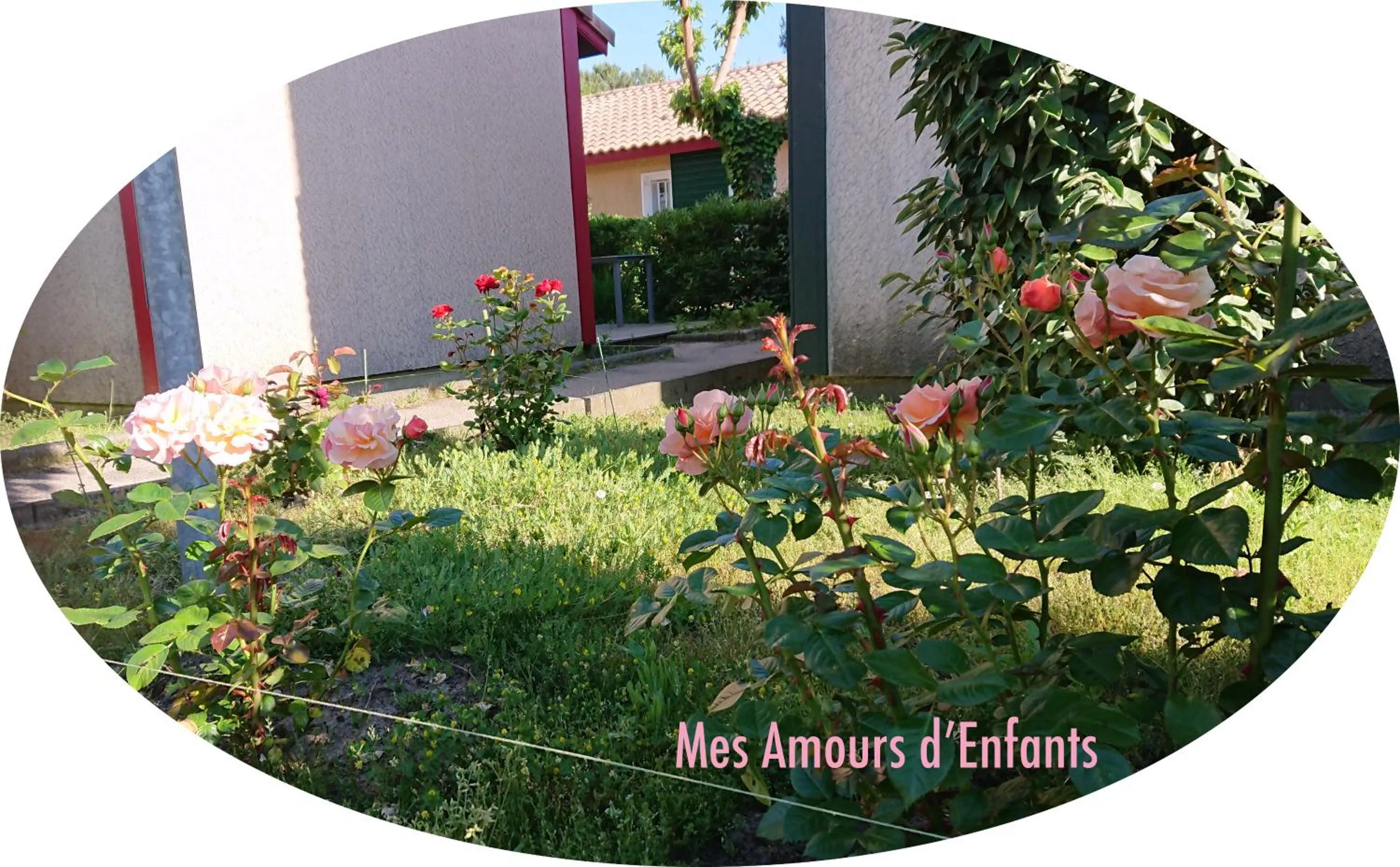 Garden in Résidence Mes Amours d'Enfants - Les Villas du Lac