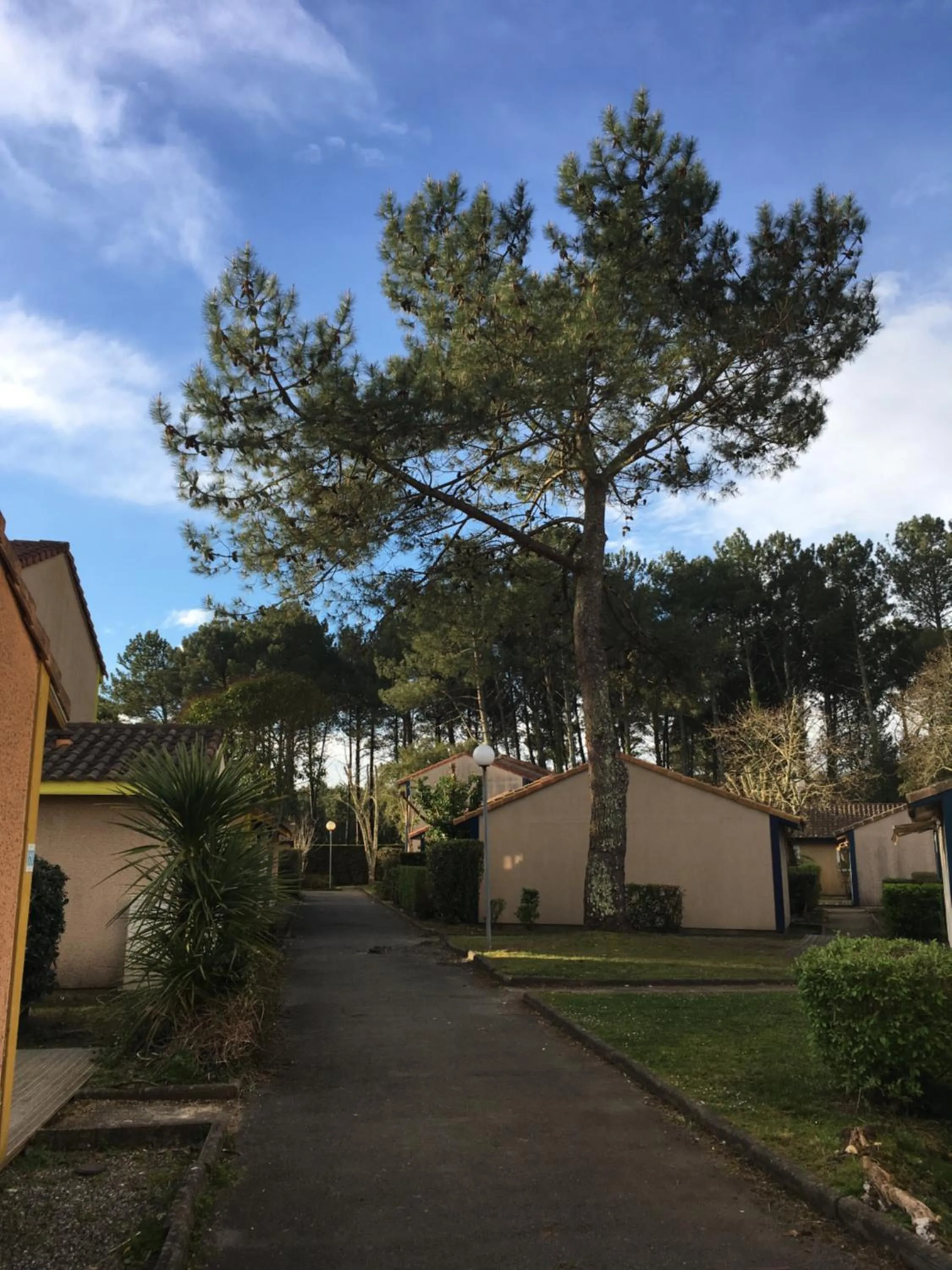 Staff in Résidence Mes Amours d'Enfants - Les Villas du Lac