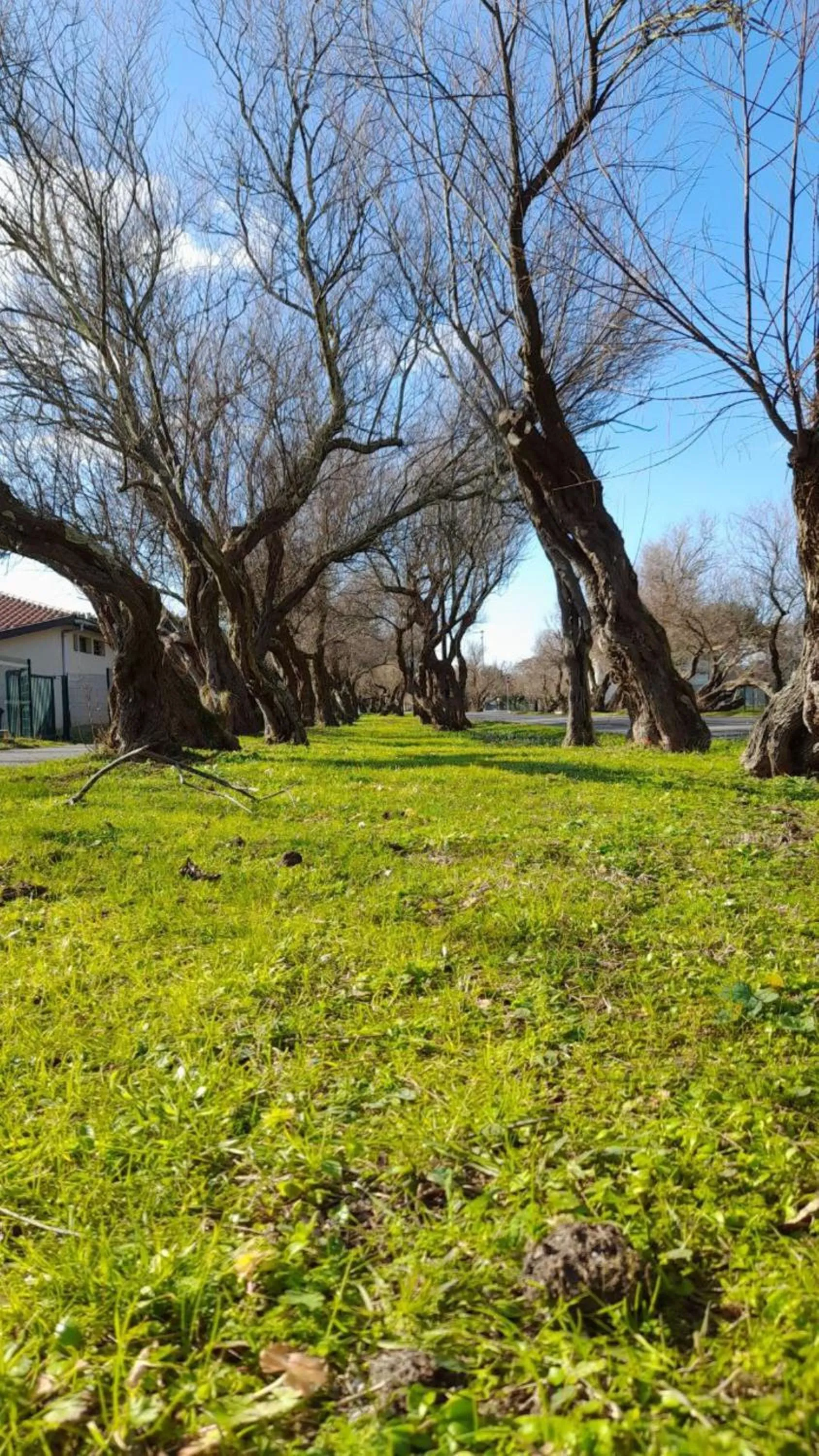 Natural landscape in Résidence Mes Amours d'Enfants - Les Villas du Lac