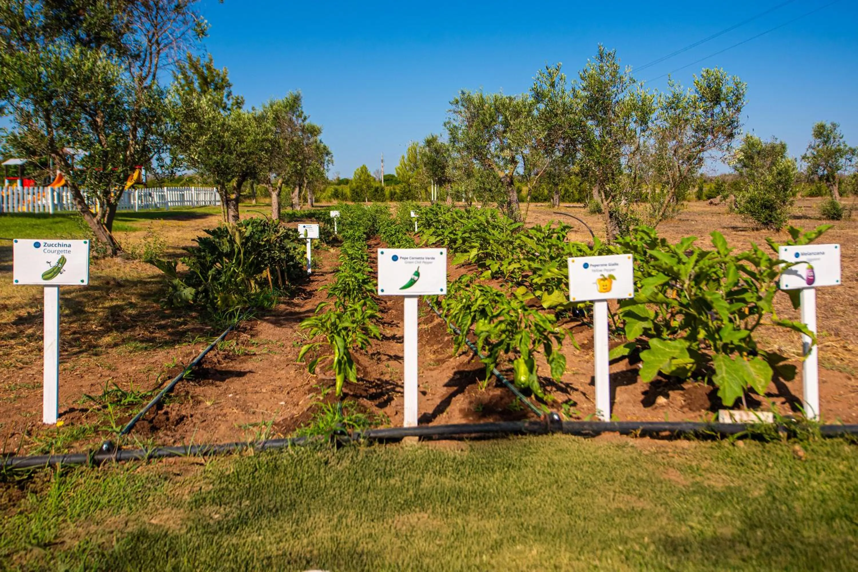 Garden in Relais Masseria Le Cesine - CDSHotels