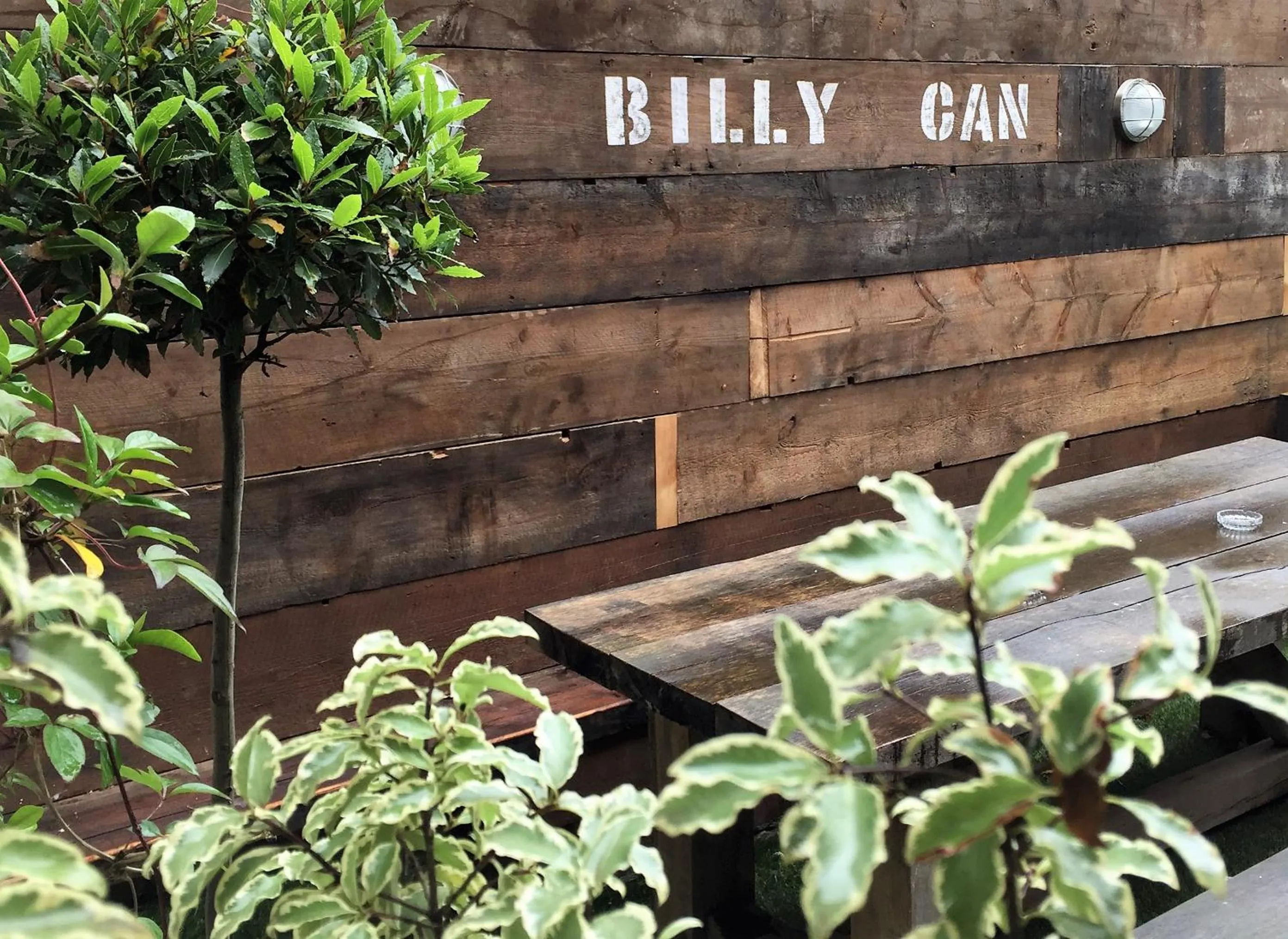 Logo/Certificate/Sign in Billycan