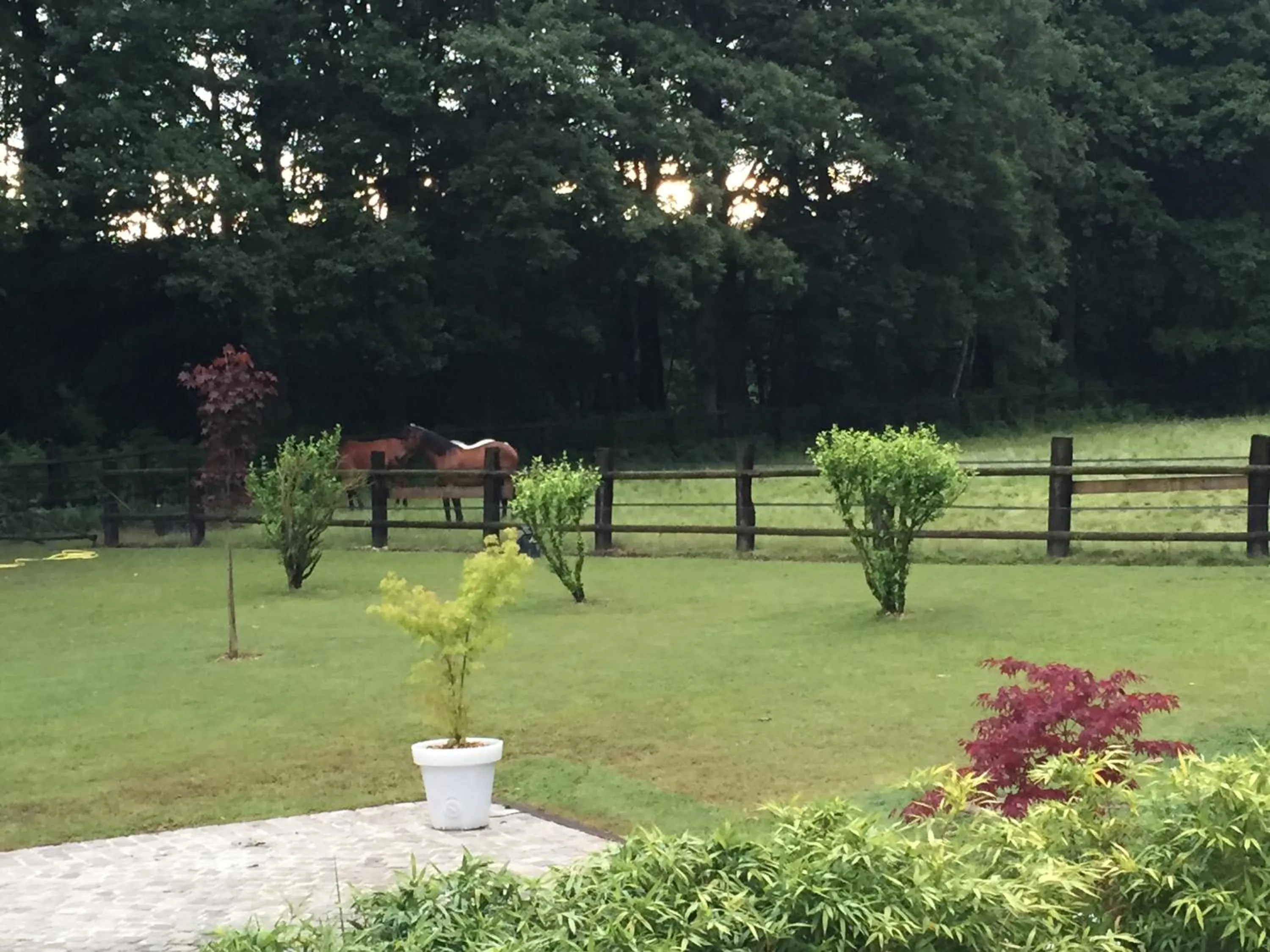 Day in Domaine des Bruyères