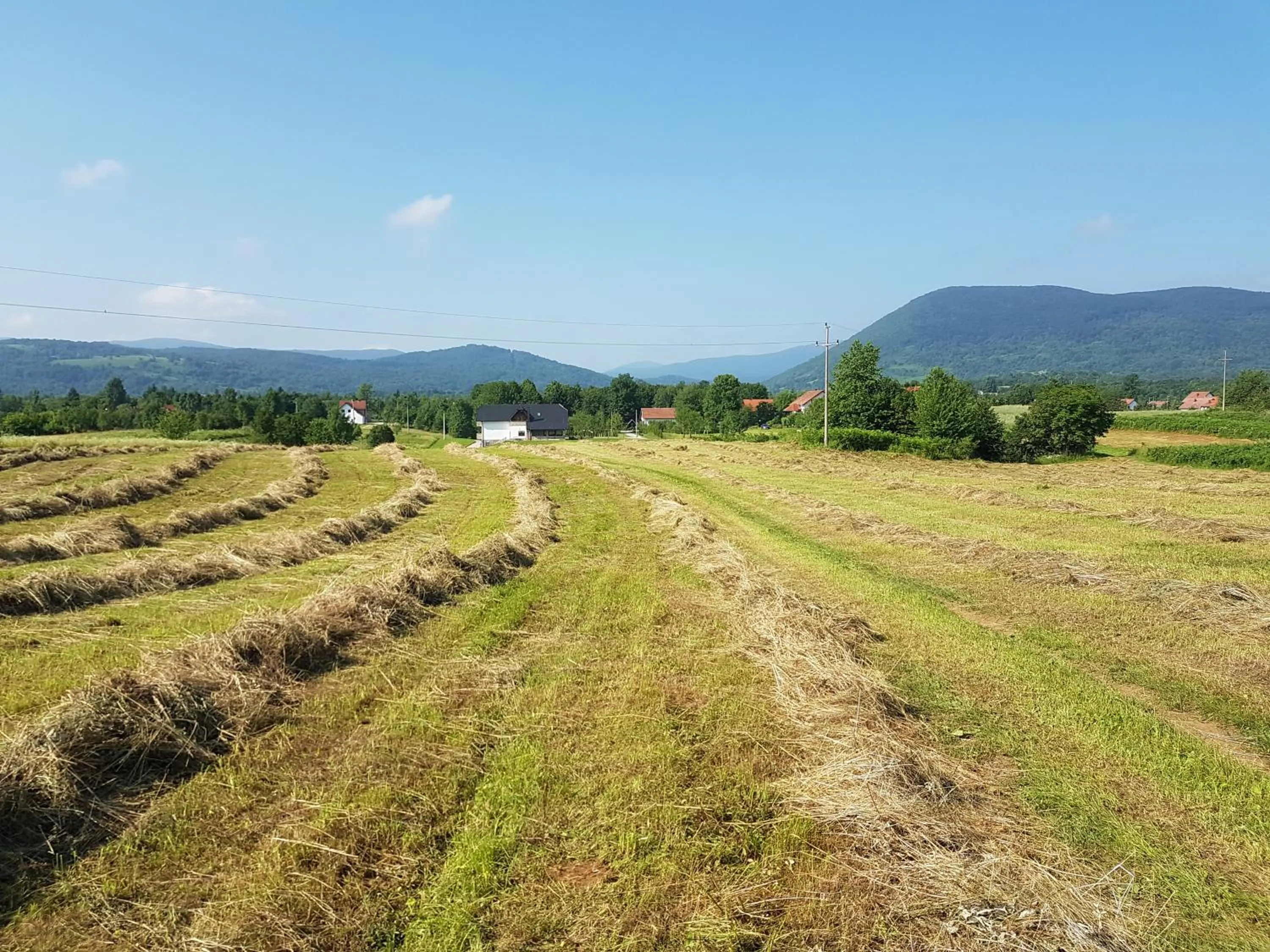 Neighbourhood in Villa Stone