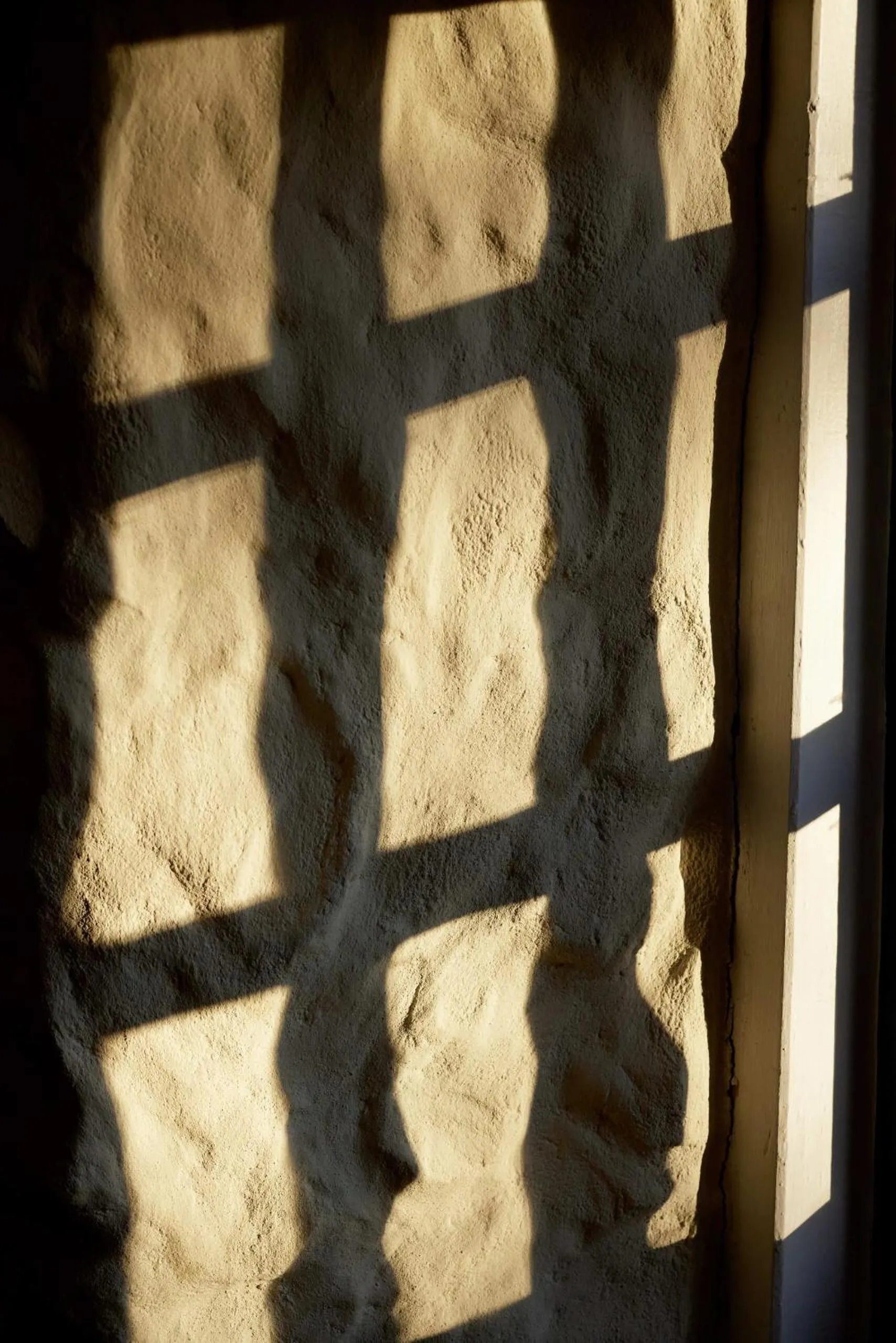 Other in The Dog & Gun Inn