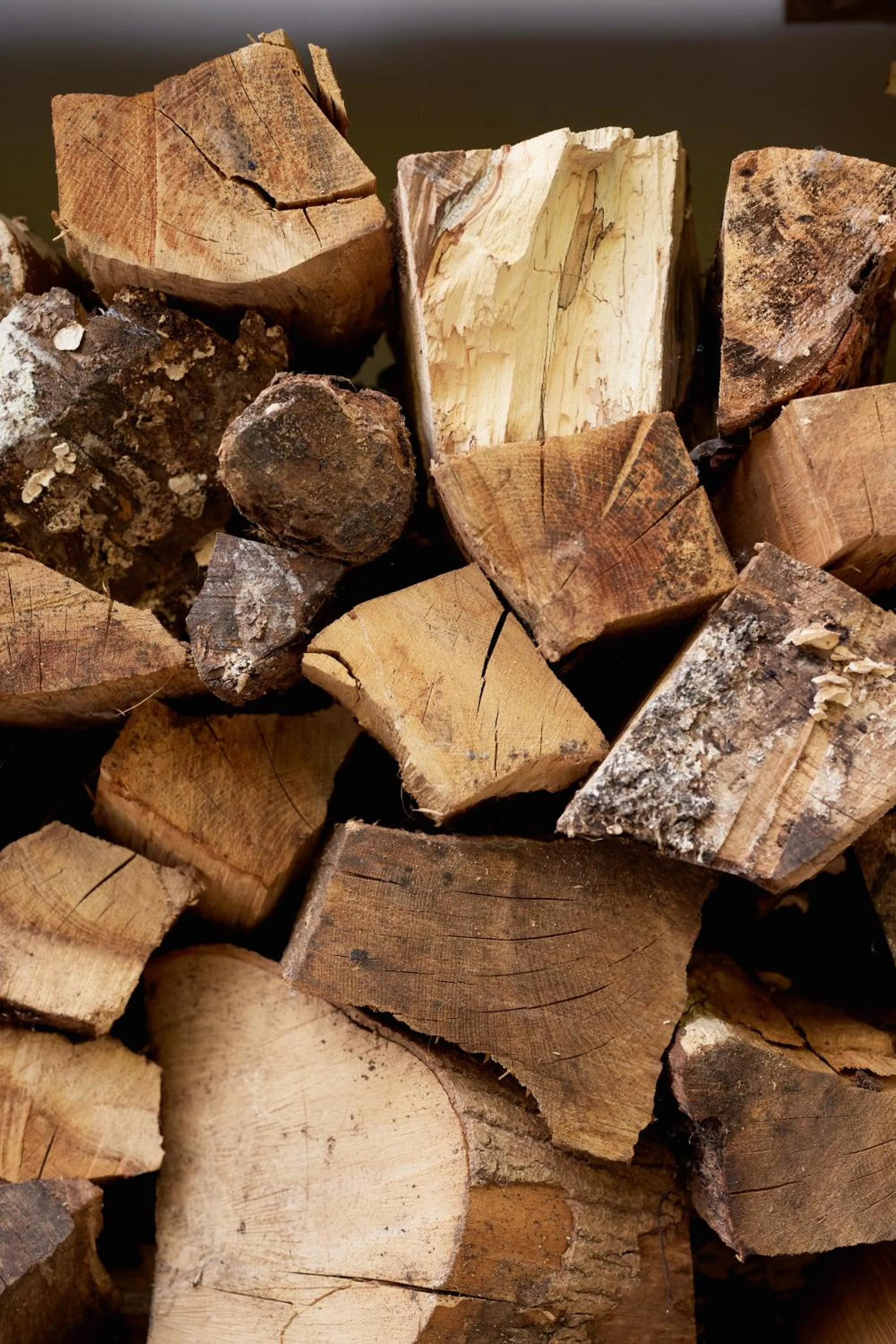 Property building in The Dog & Gun Inn