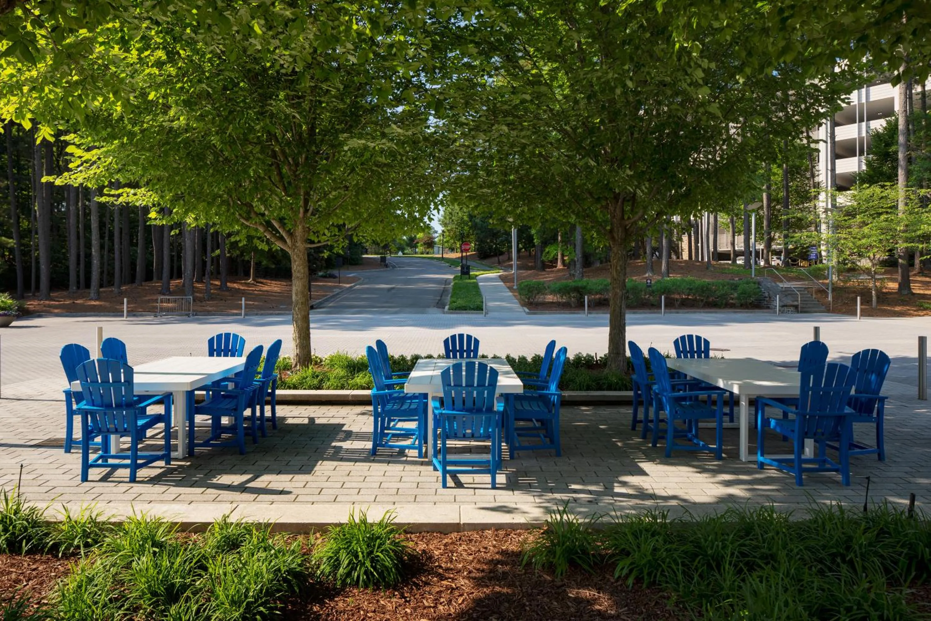 Seating area in JB Duke Hotel