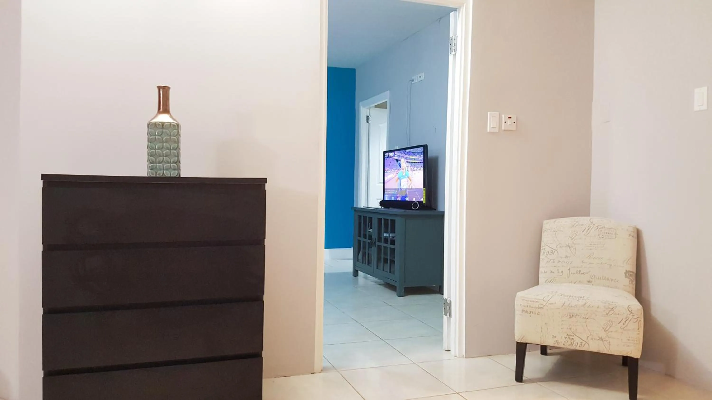 TV and multimedia in New Kingston Guest Apartments @ Donhead