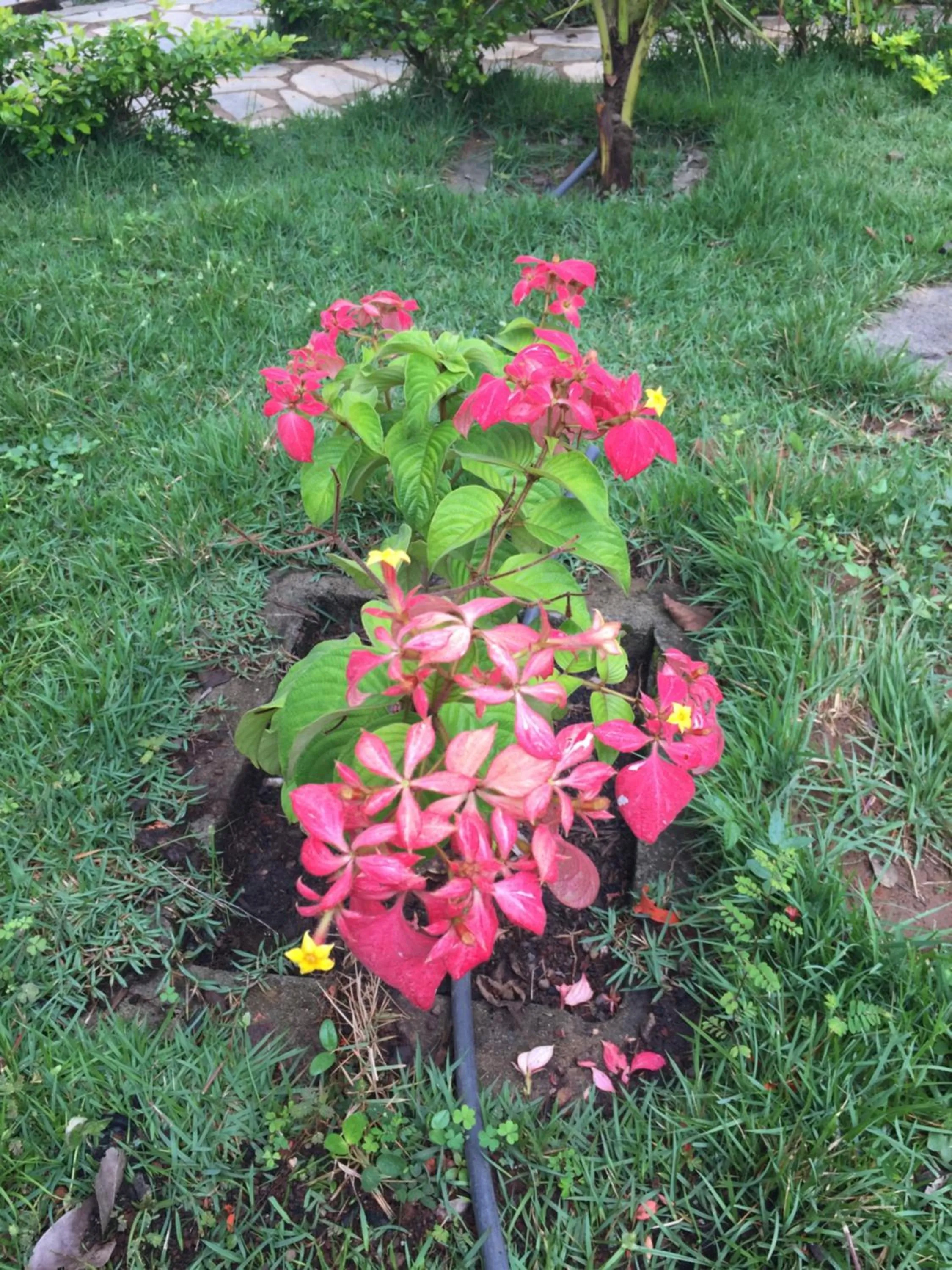 Decorative detail in Pousada Recanto das Pedras São Leopoldo