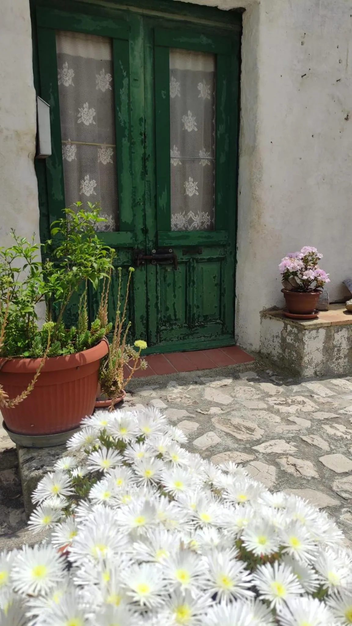 Garden view in Il Geco