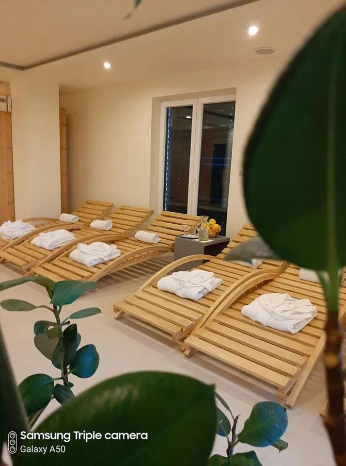 Spa and wellness centre/facilities in Hotel Rekic