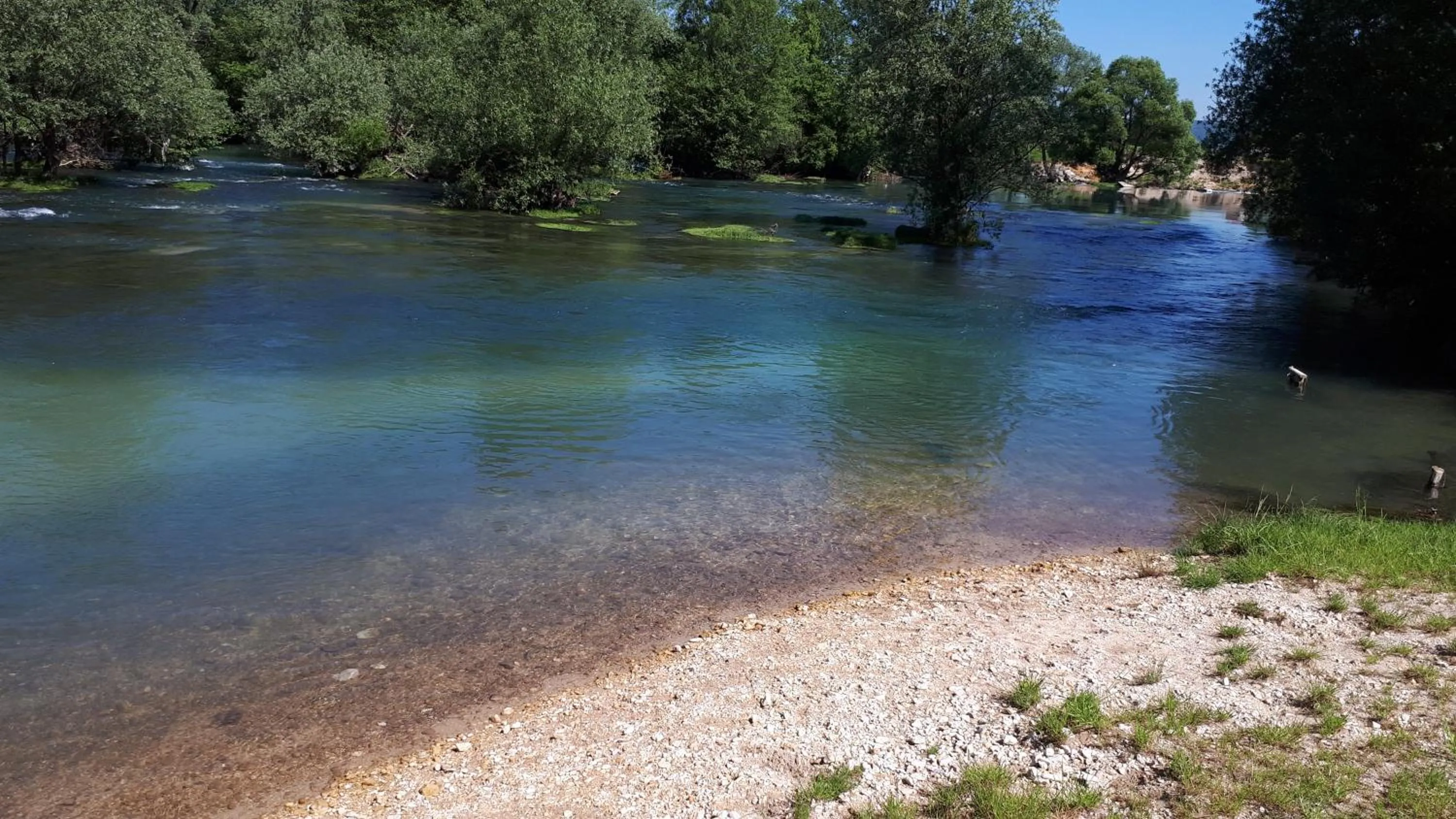Beach in Hotel Rekic