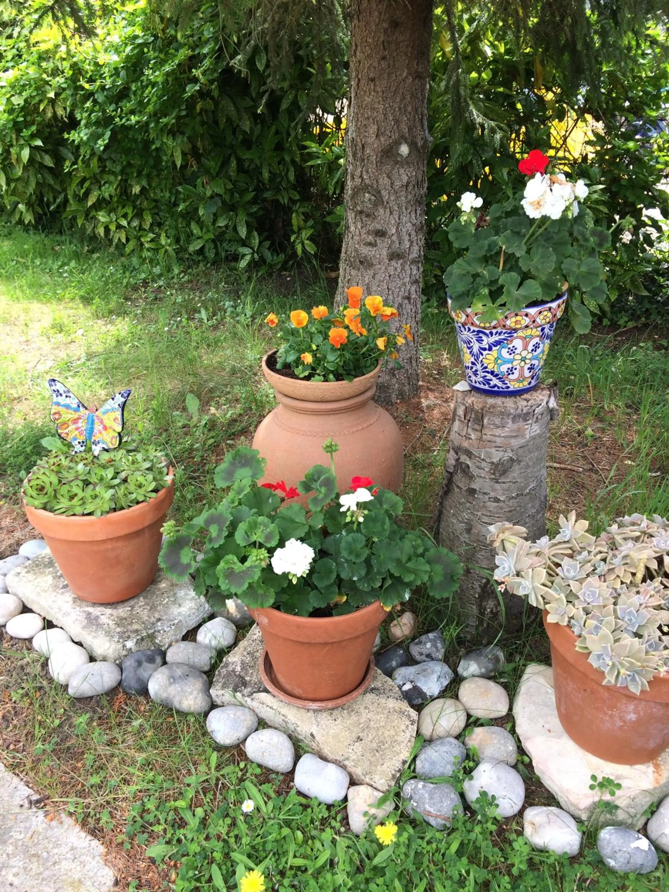 Garden in La Tour de Saint Cyr