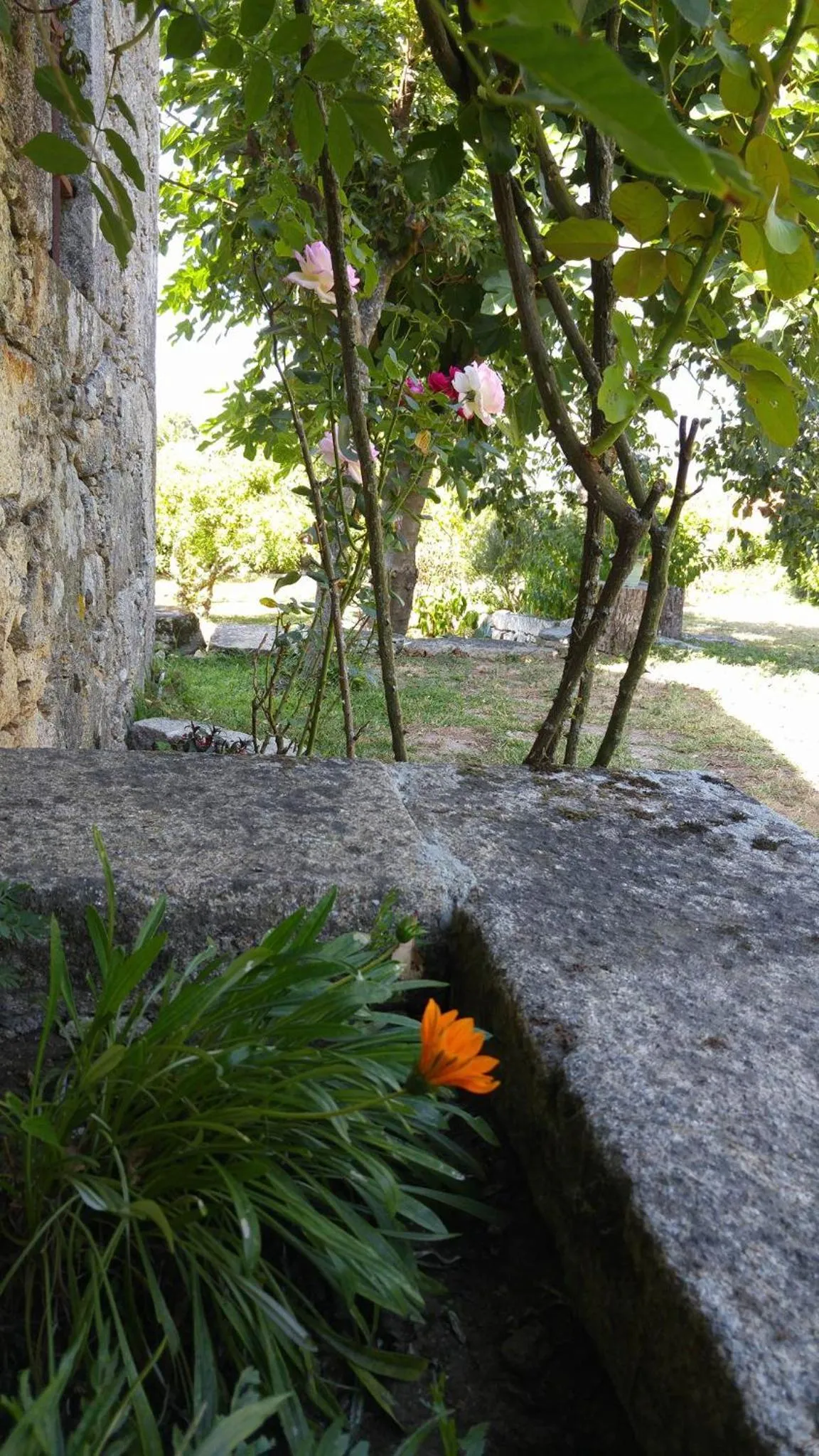 Garden in Casinha Nº461