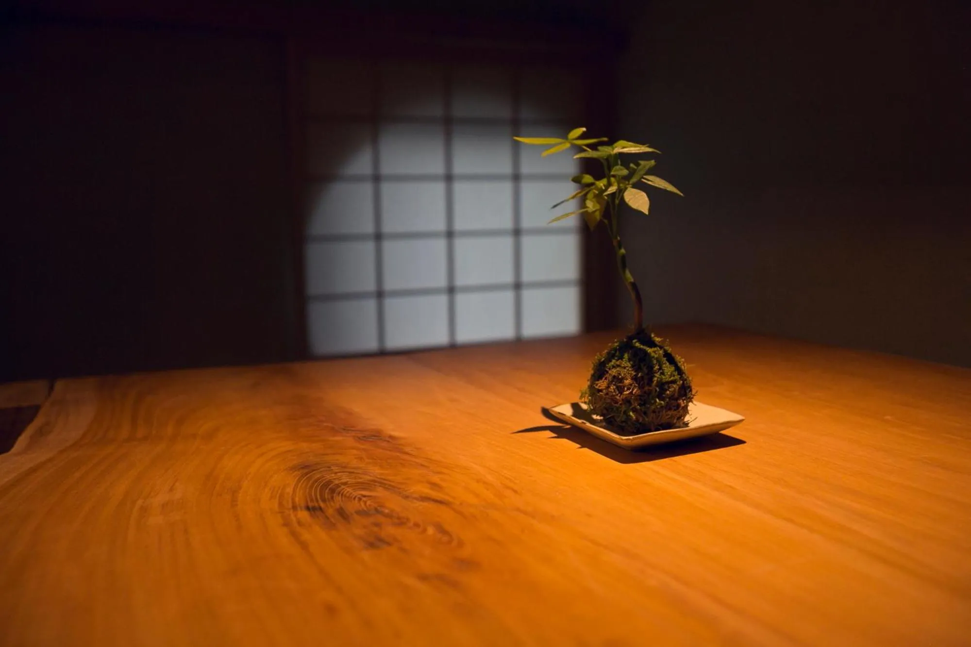 Decorative detail in Ryokan Mokuzin