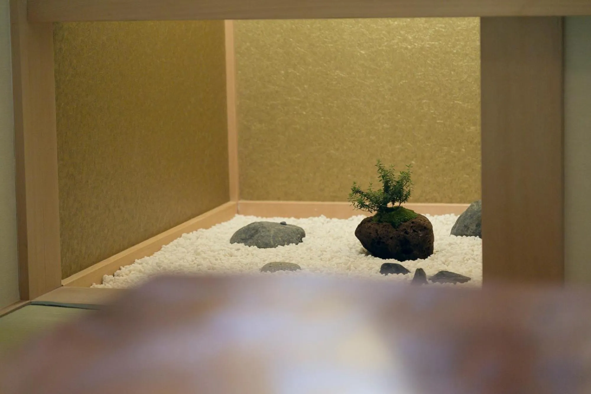 Photo of the whole room in Ryokan Mokuzin