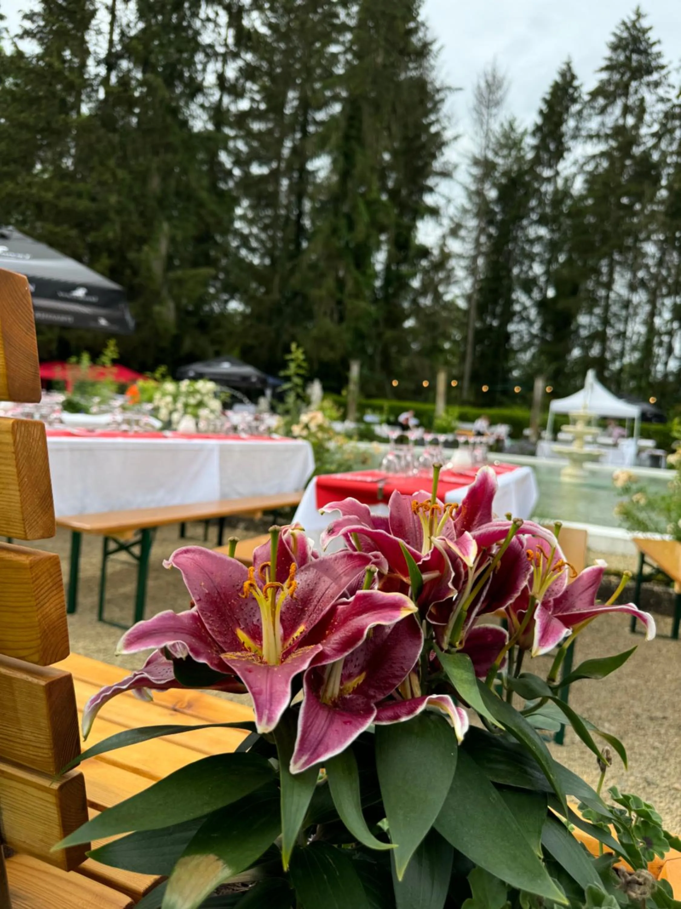 Garden in Hotel Bel Air Trail & Wellness
