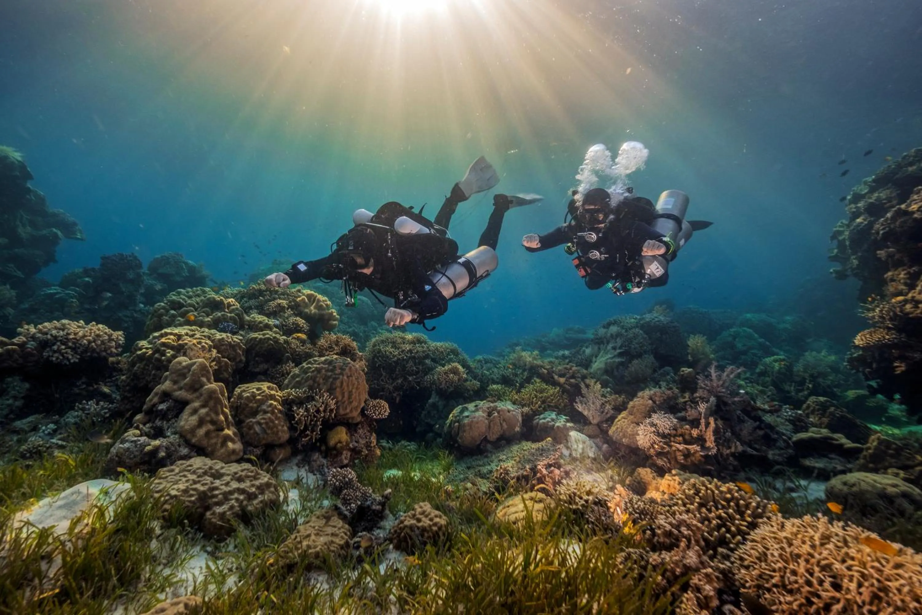 Snorkeling in Cabilao Sanctuary Beach & Dive Resort