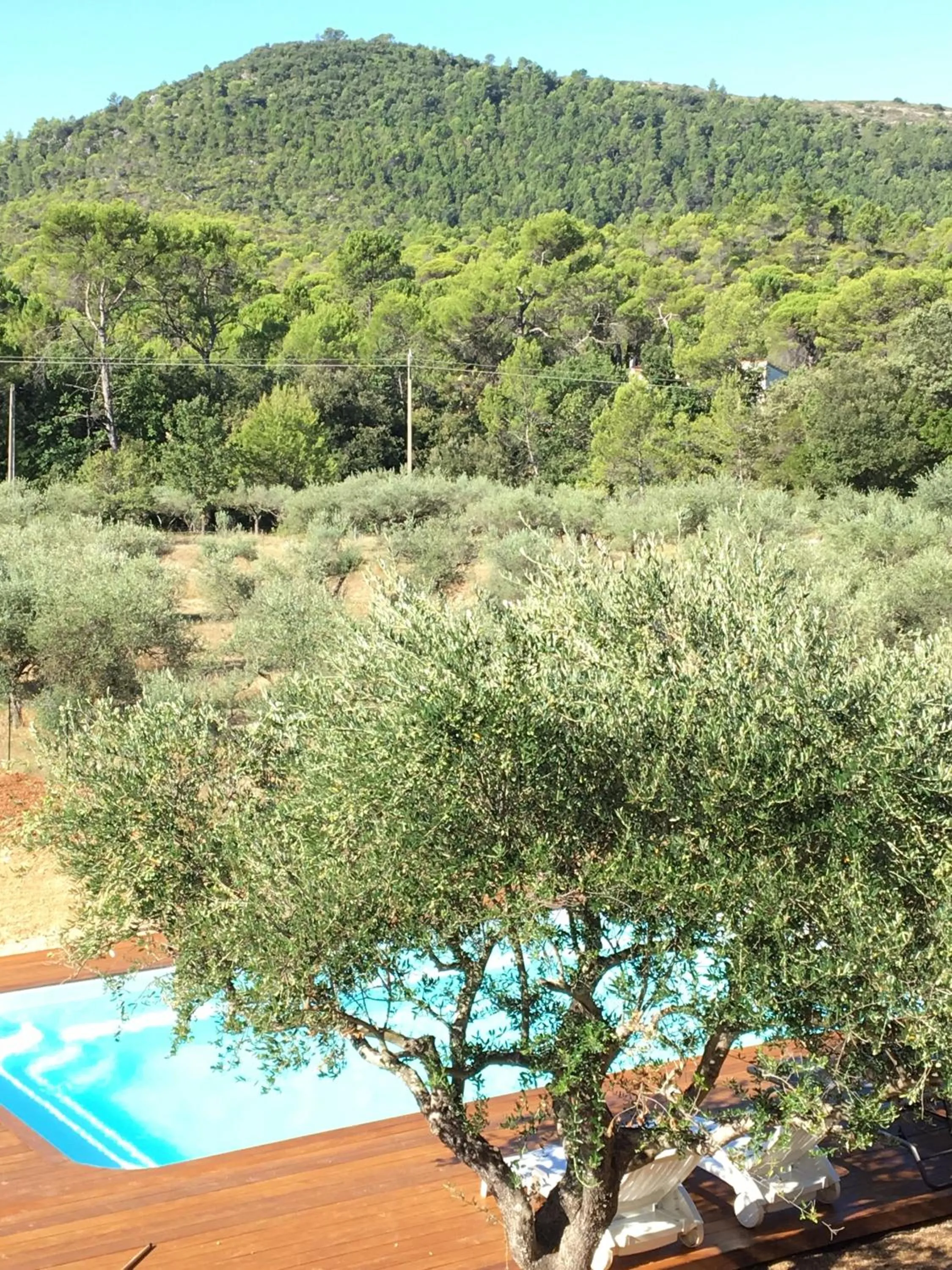 Balcony/Terrace in La Villa aux Oliviers