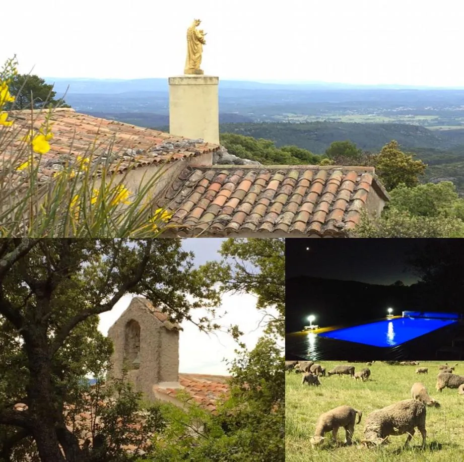 Activities in La Villa aux Oliviers