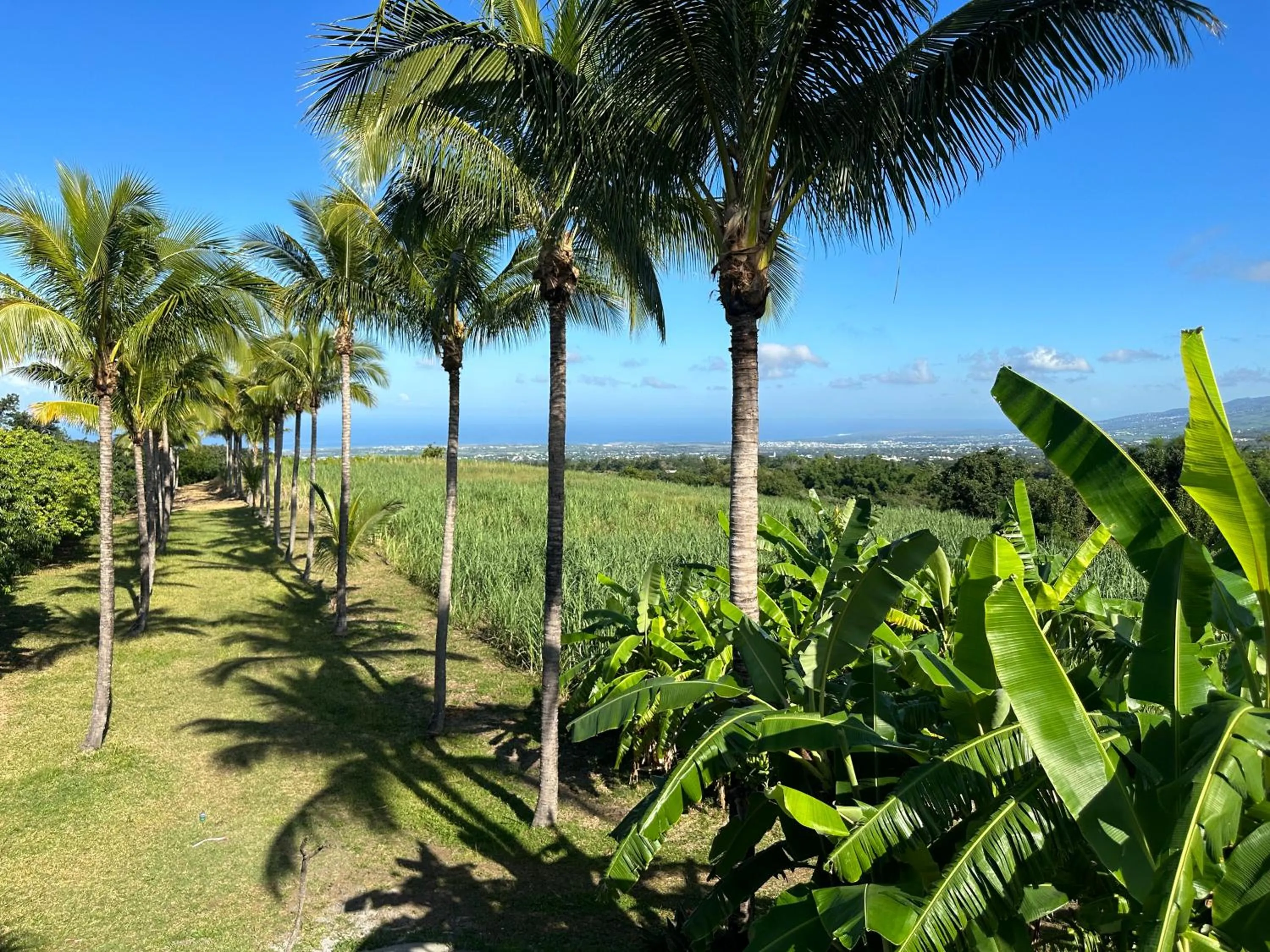 Day in Zoiseaux Pays