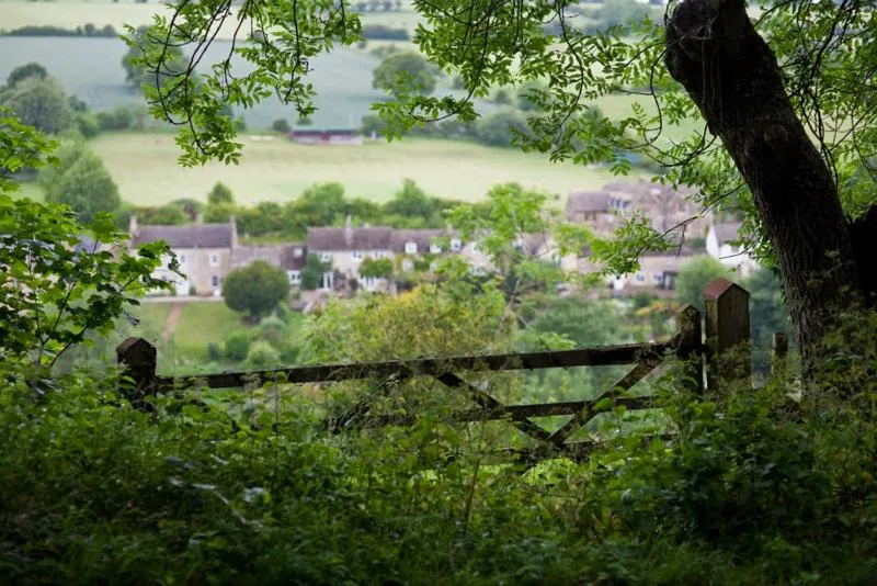 Natural landscape in The Barrel Store Cirencester