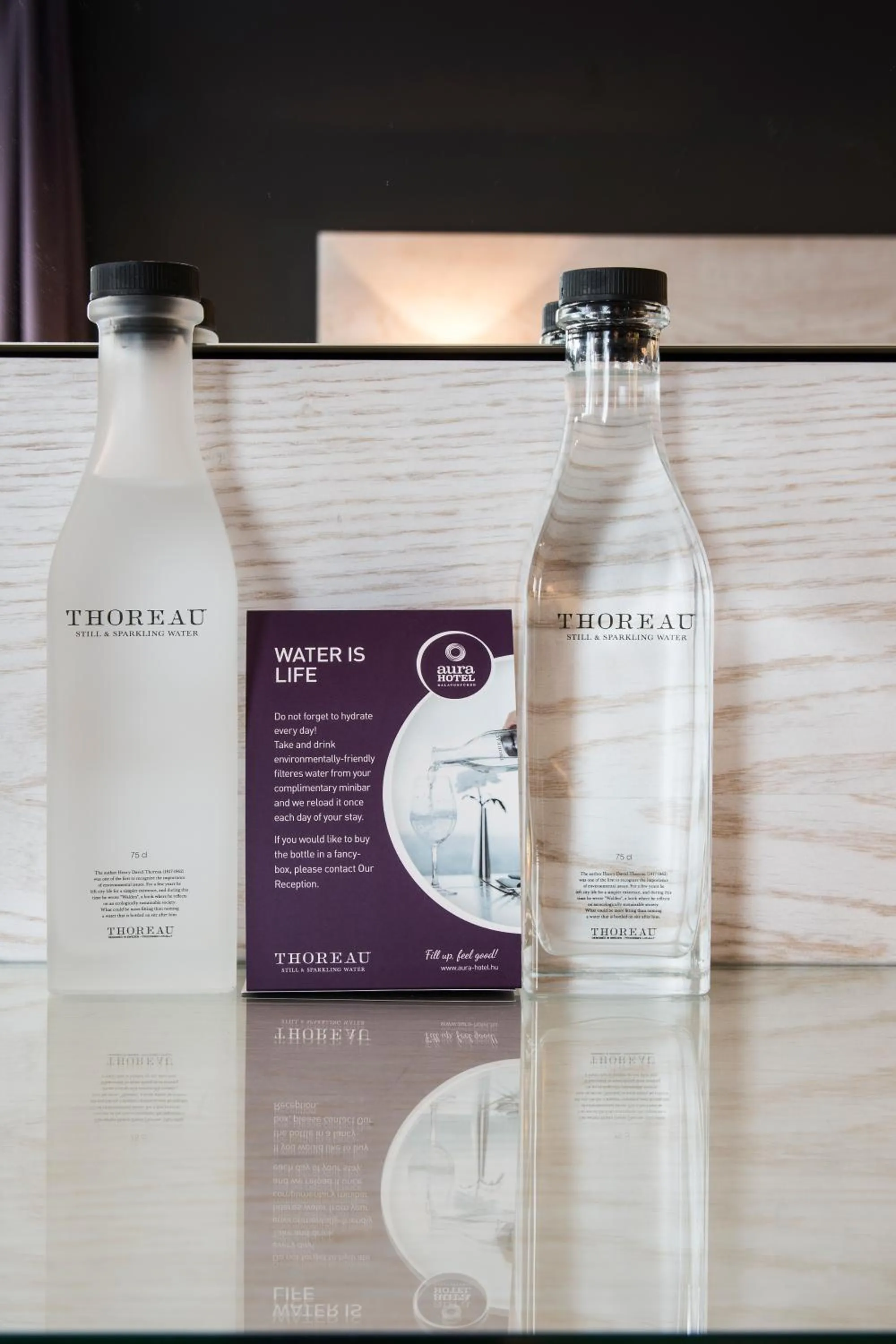 Area and facilities in Aura Hotel Adults Only