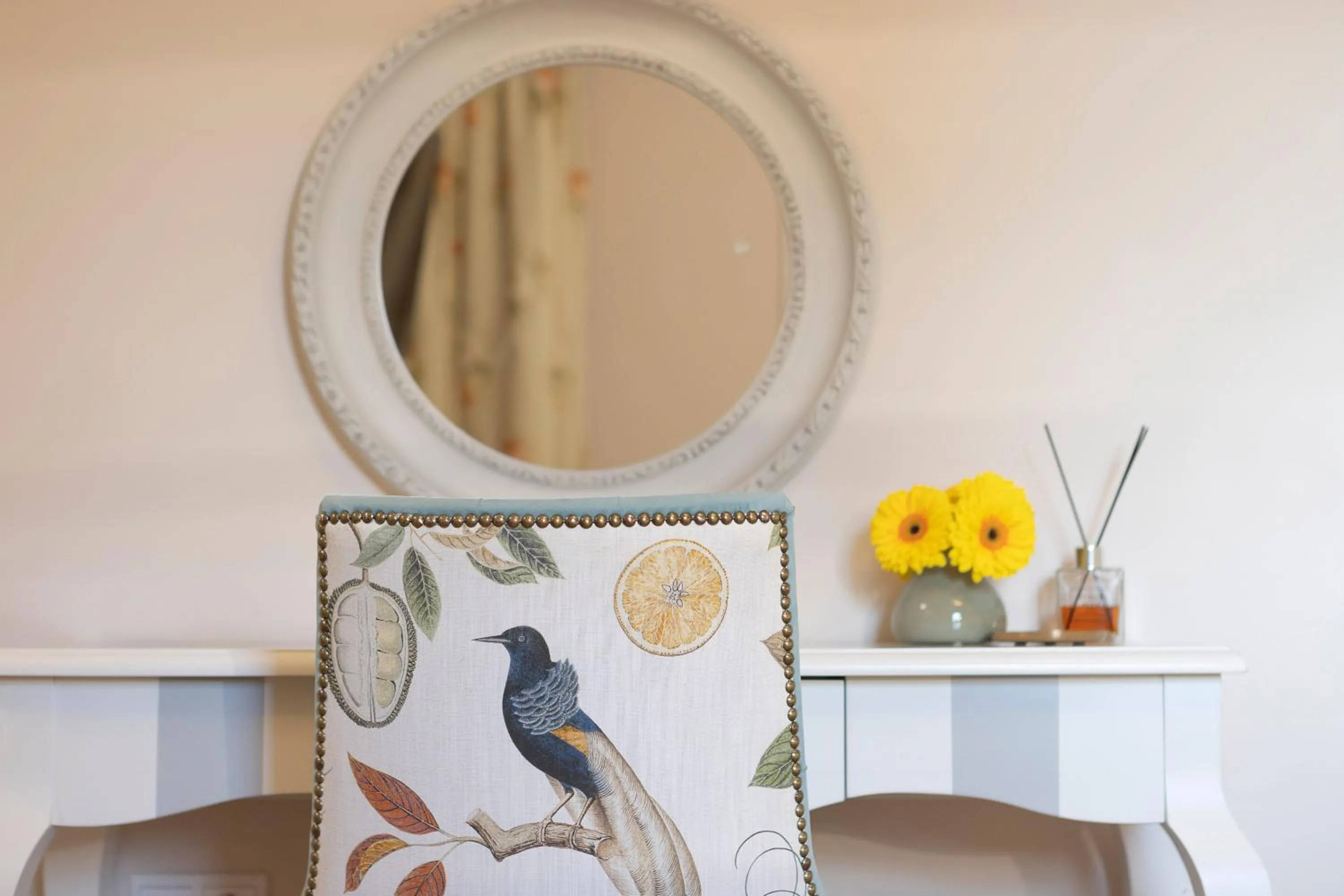 Gatto Perso Luxury Studios And Apartments