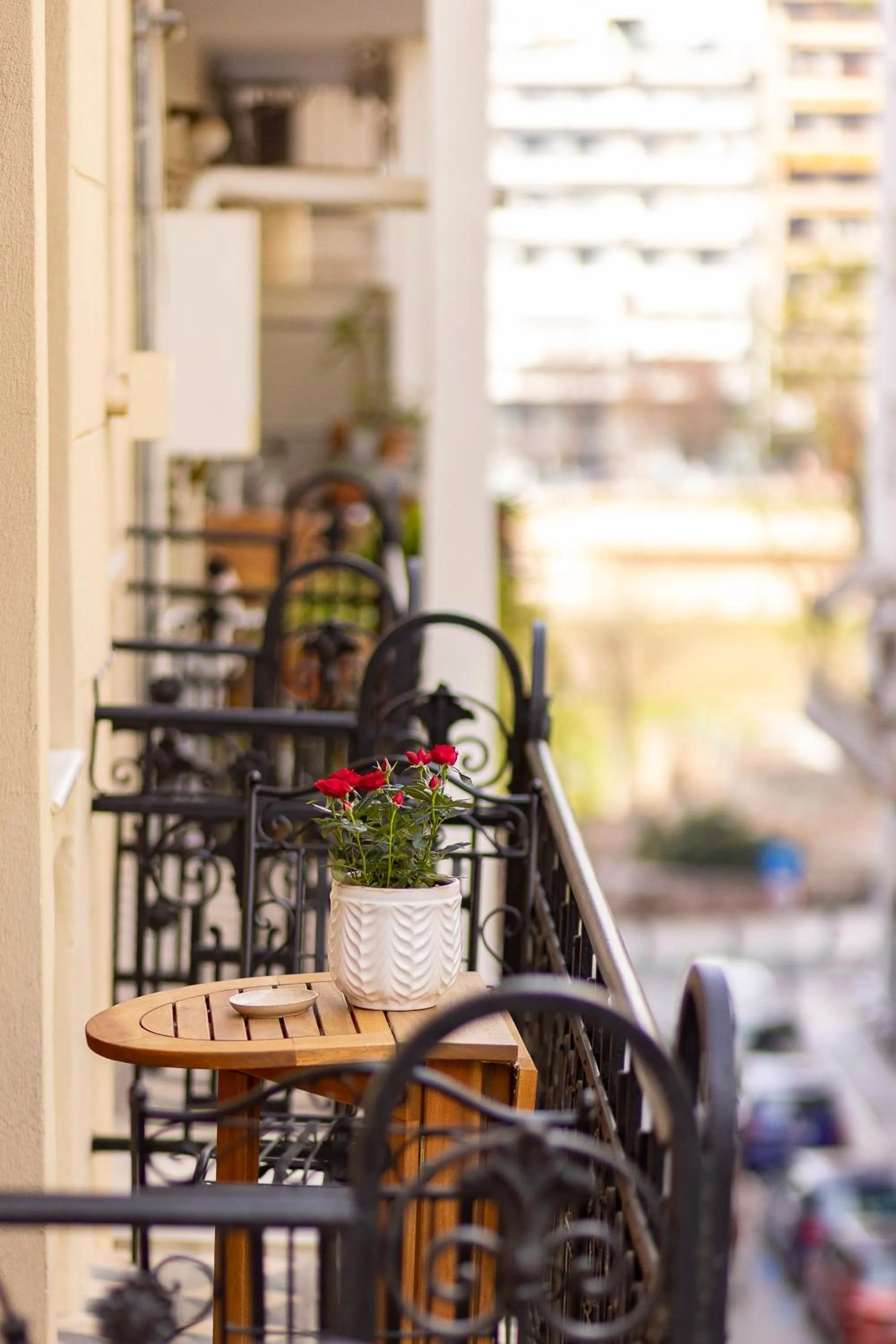 Gatto Perso Luxury Studios And Apartments