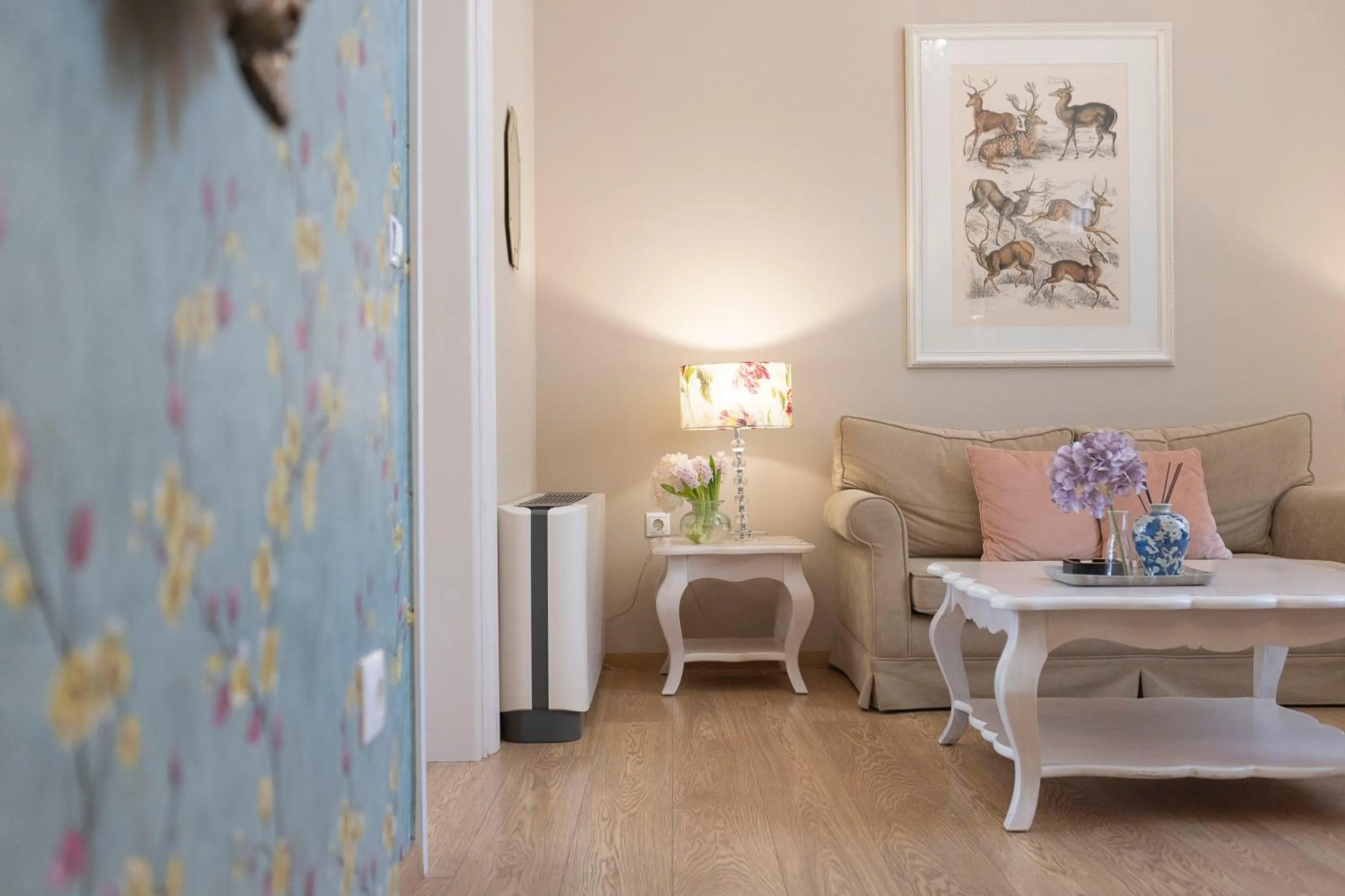 Gatto Perso Luxury Studios And Apartments