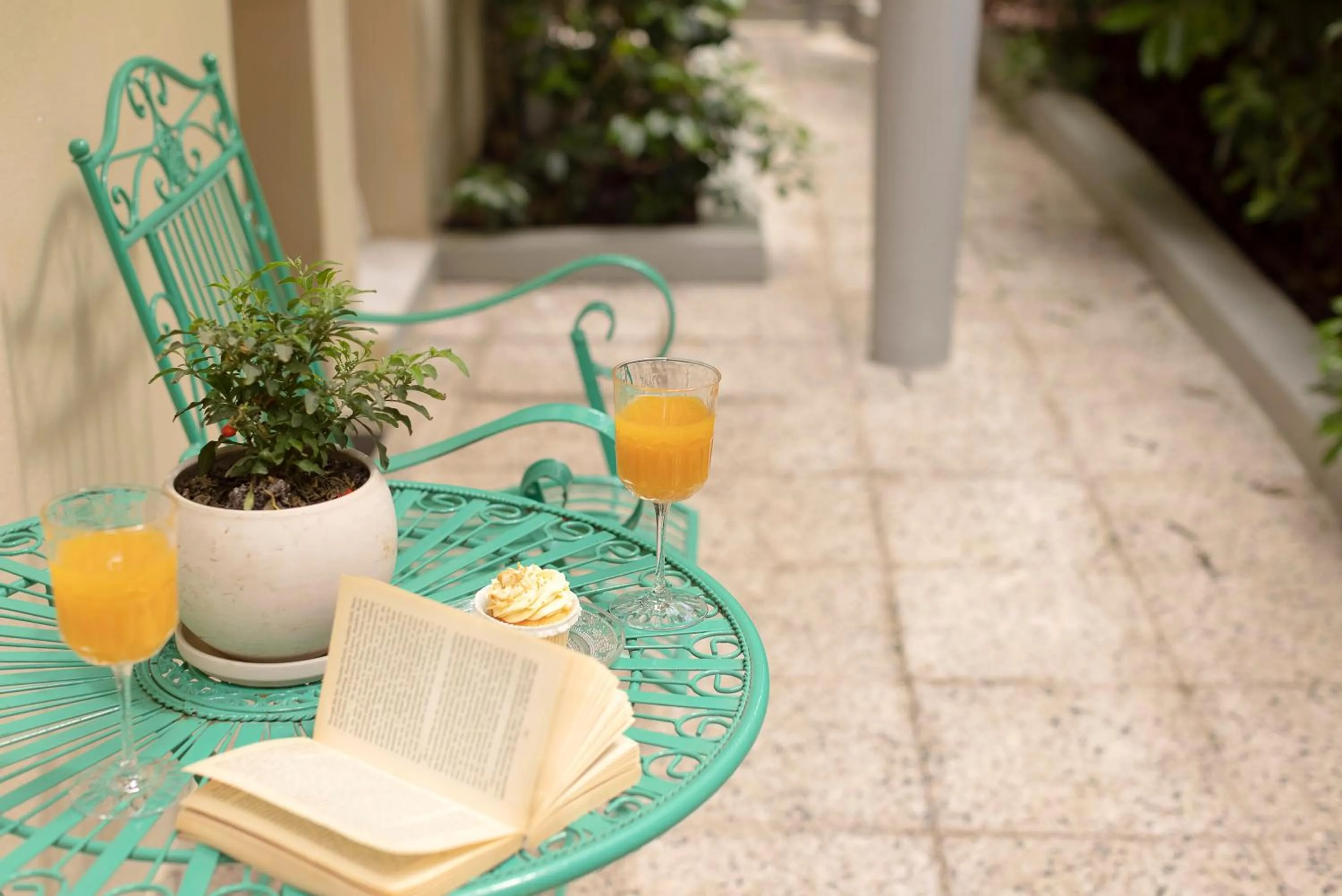 Garden in Gatto Perso Luxury Studios And Apartments