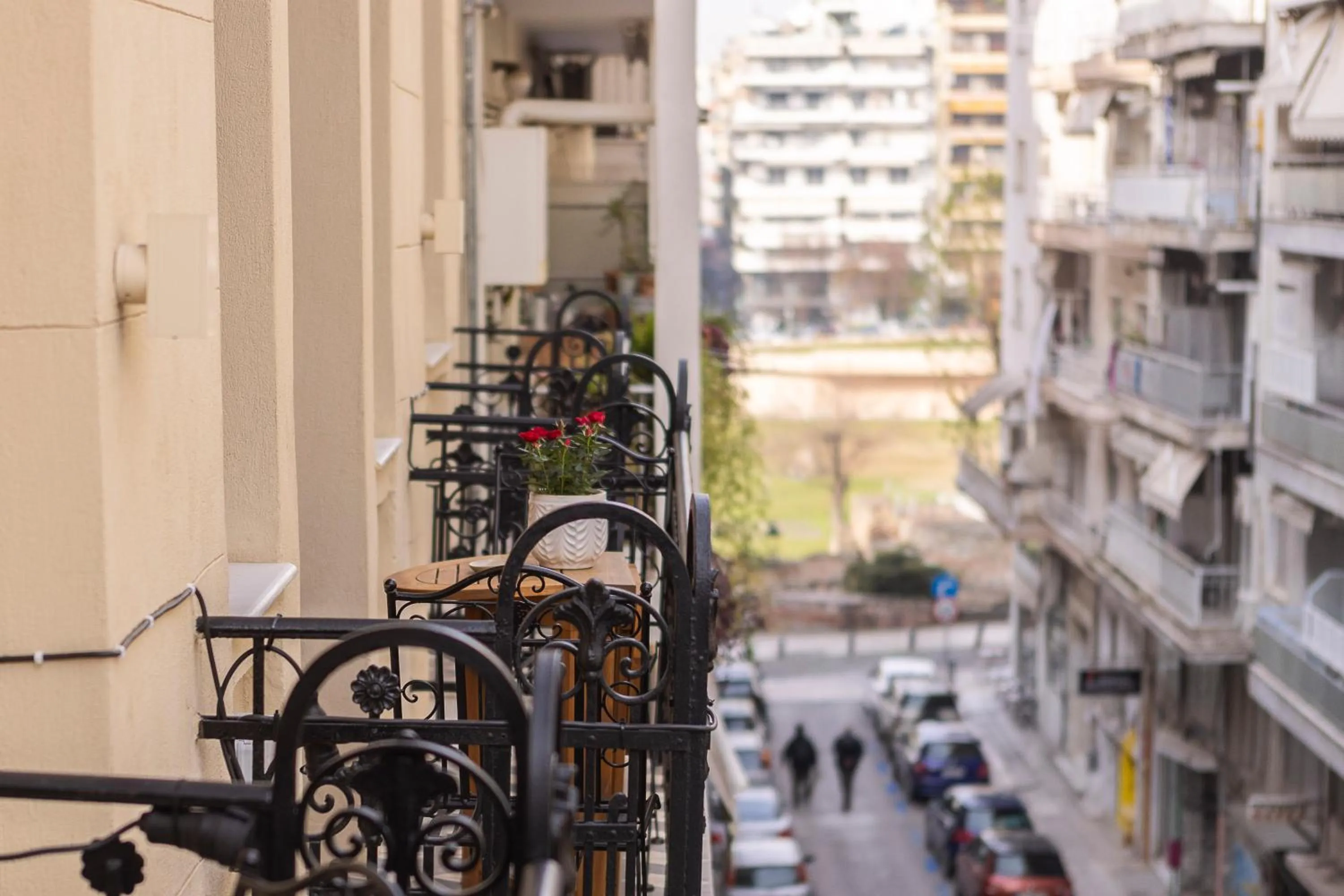 Gatto Perso Luxury Studios And Apartments