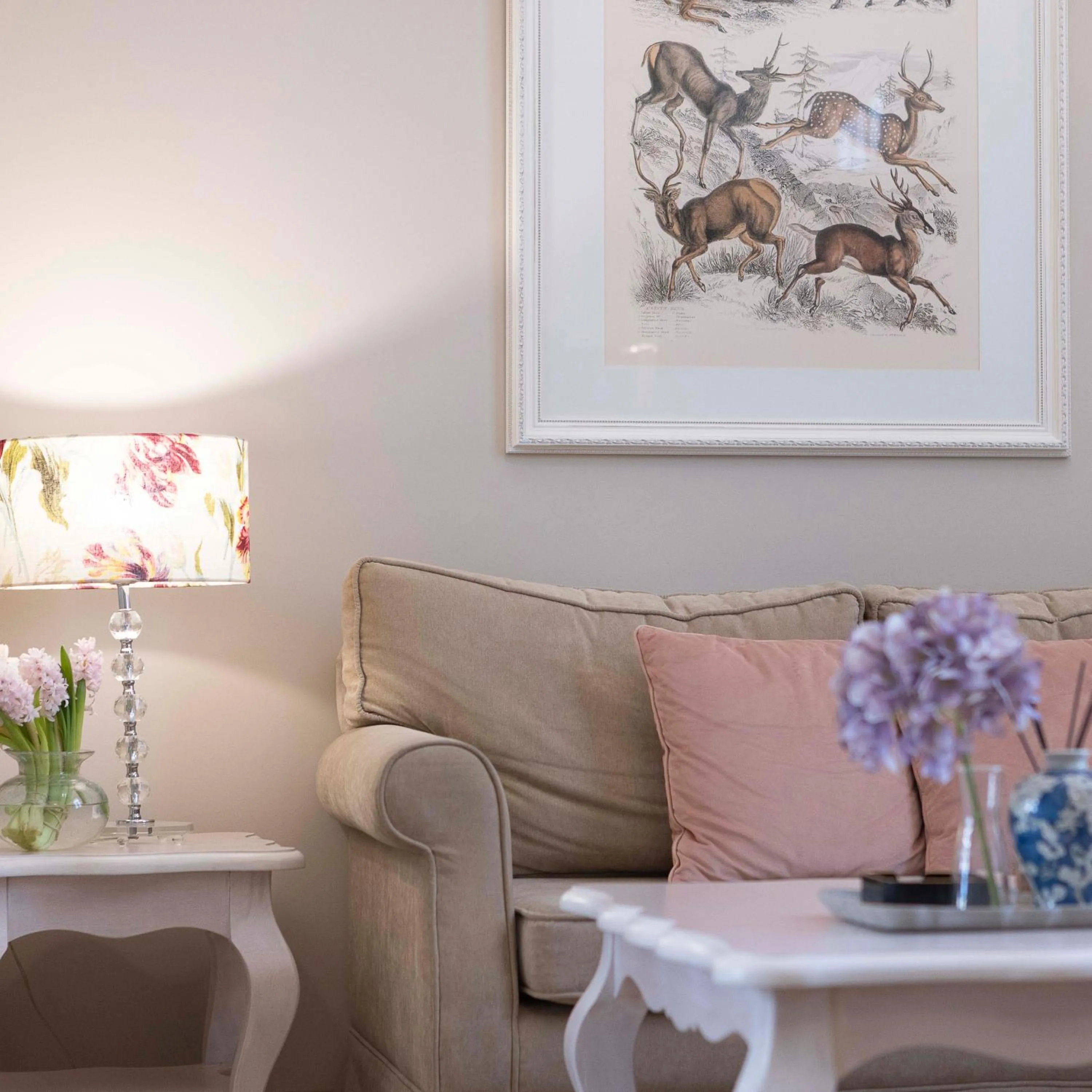 Gatto Perso Luxury Studios And Apartments