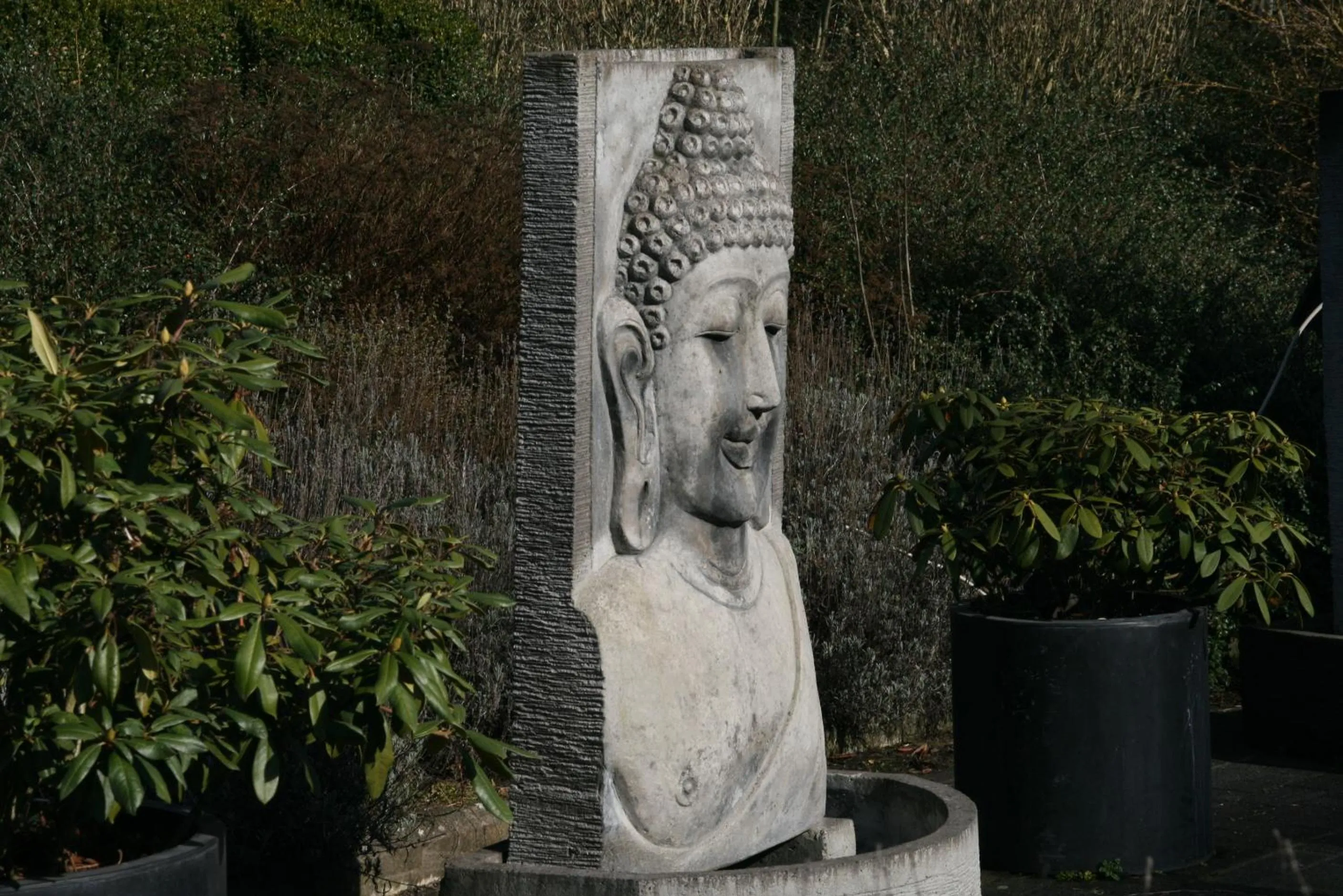 Other in Hotel Olivier