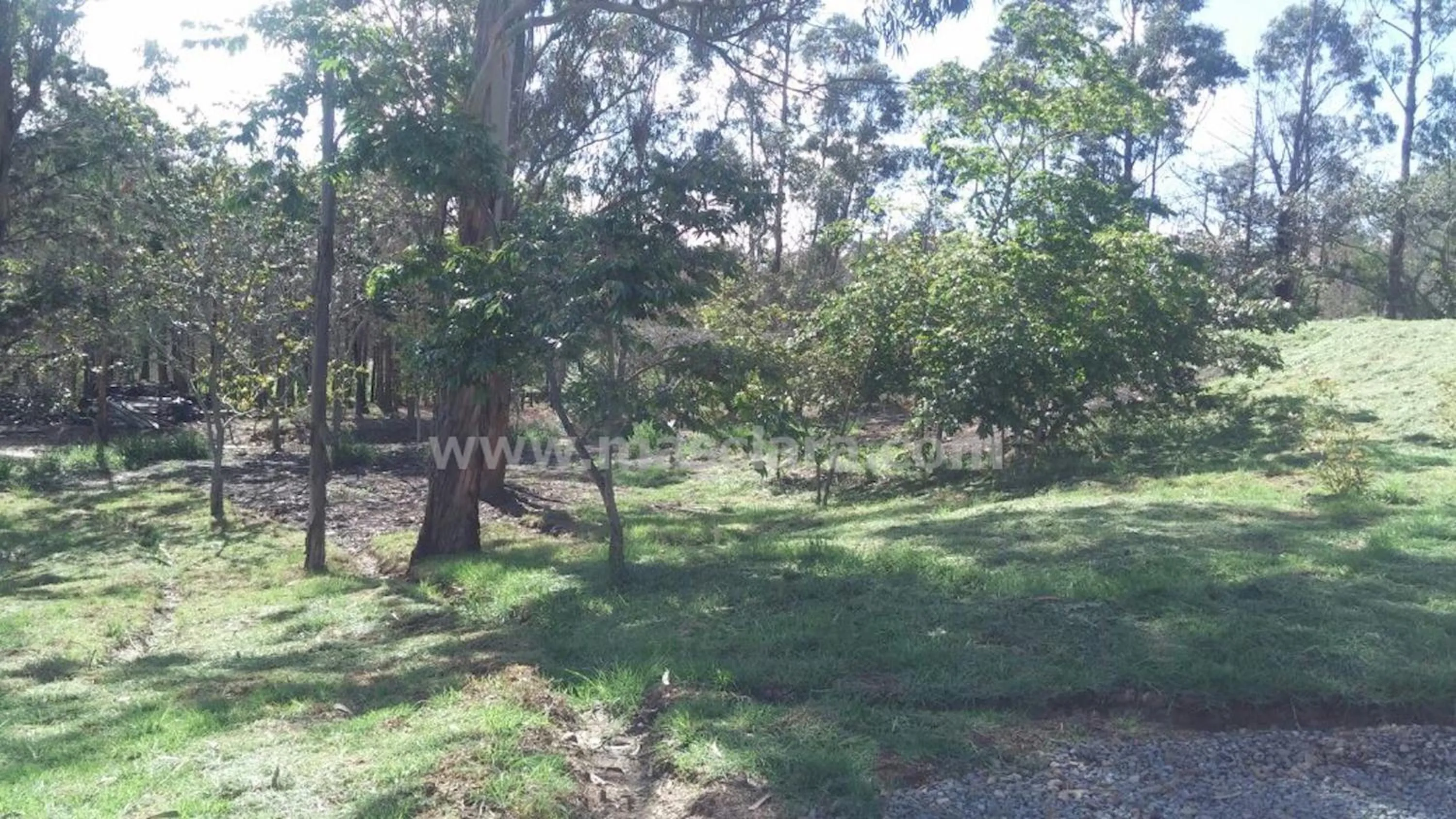 Off site in Hotel MasClara