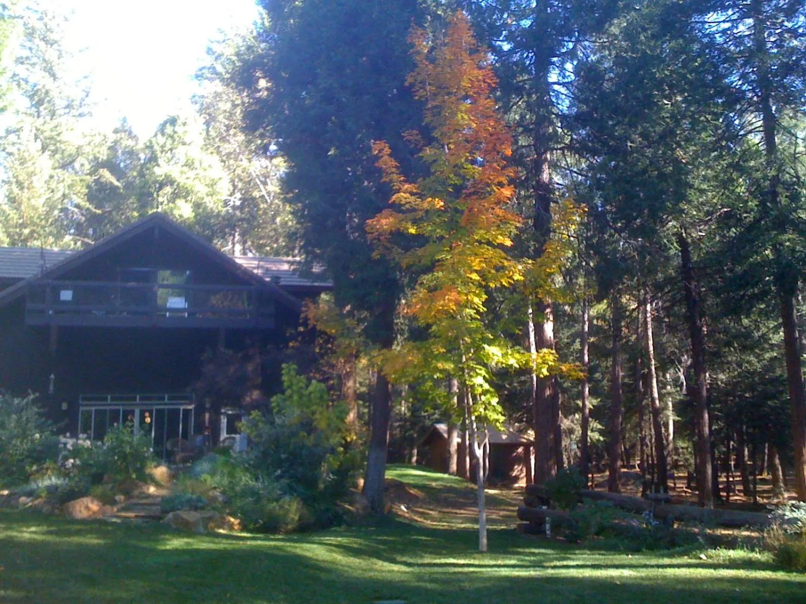 Property building in Harmony Ridge Lodge