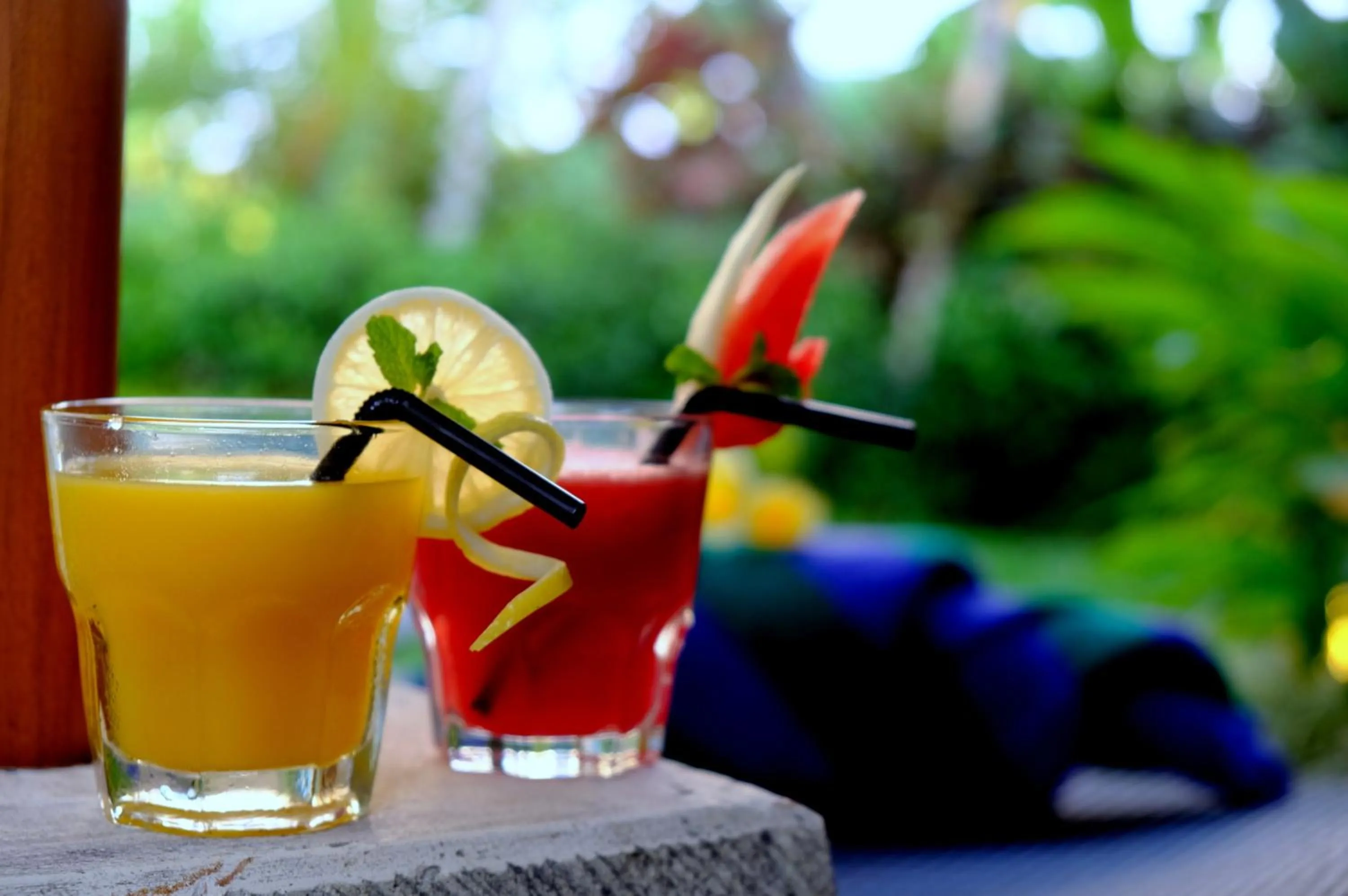 Food and drinks in Villa Sally