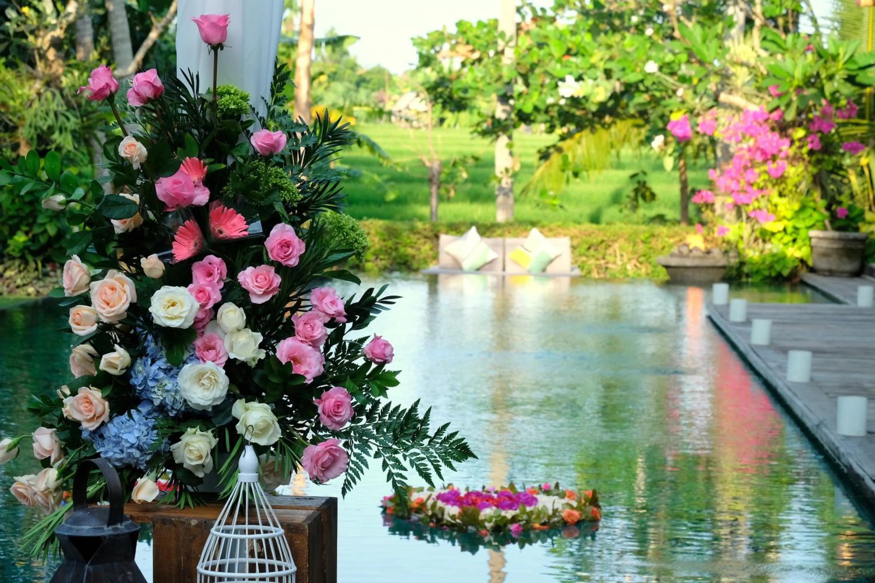 Garden in Villa Sally