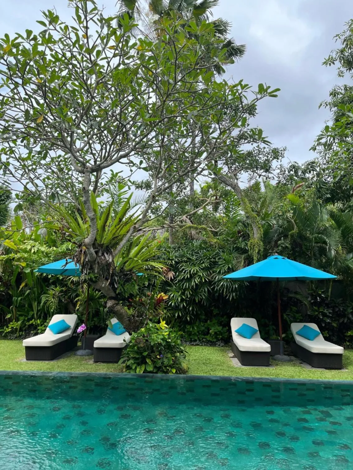 Pool view in Villa Sally