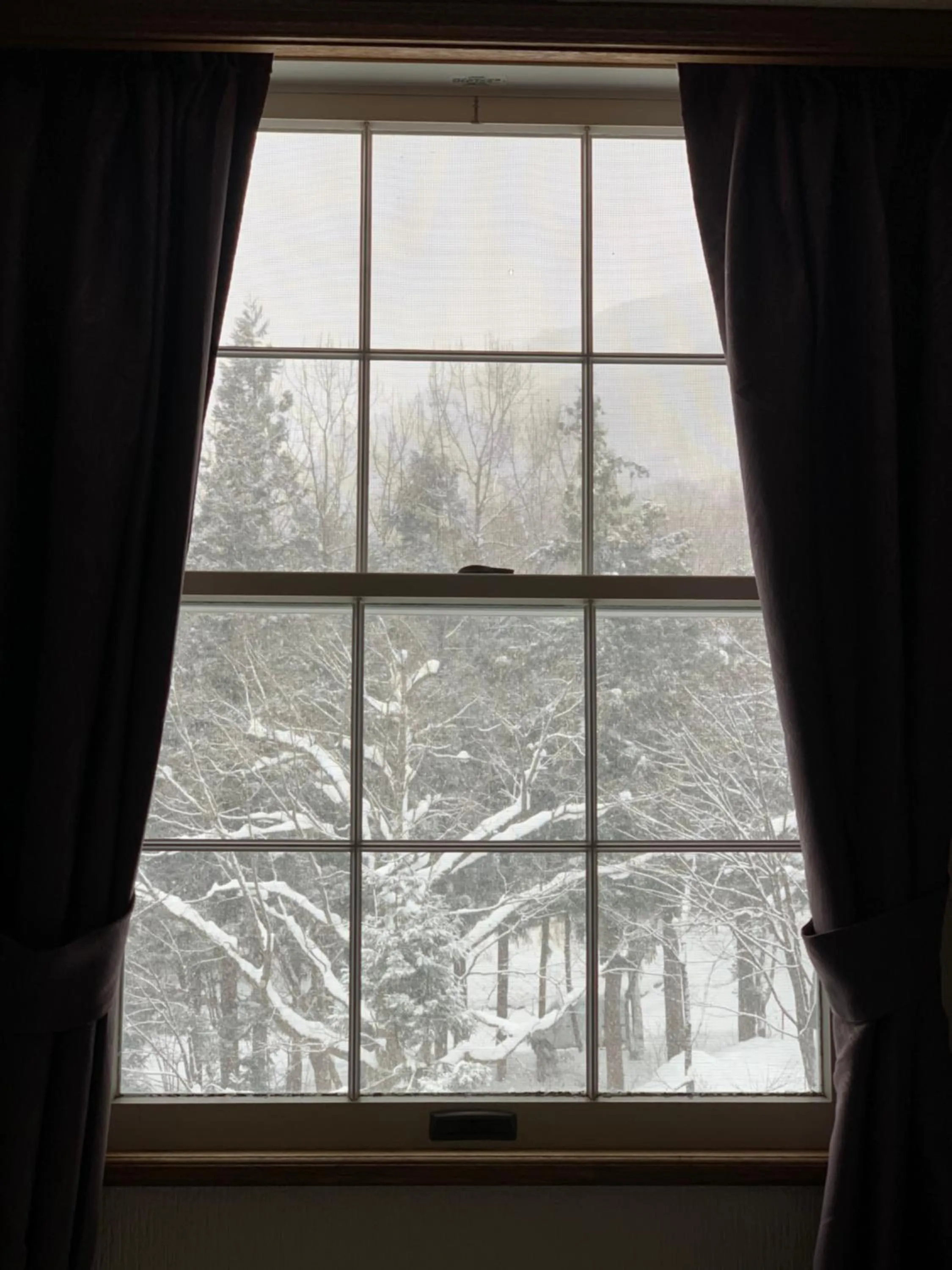 Wadano Forest Hotel & Apartments