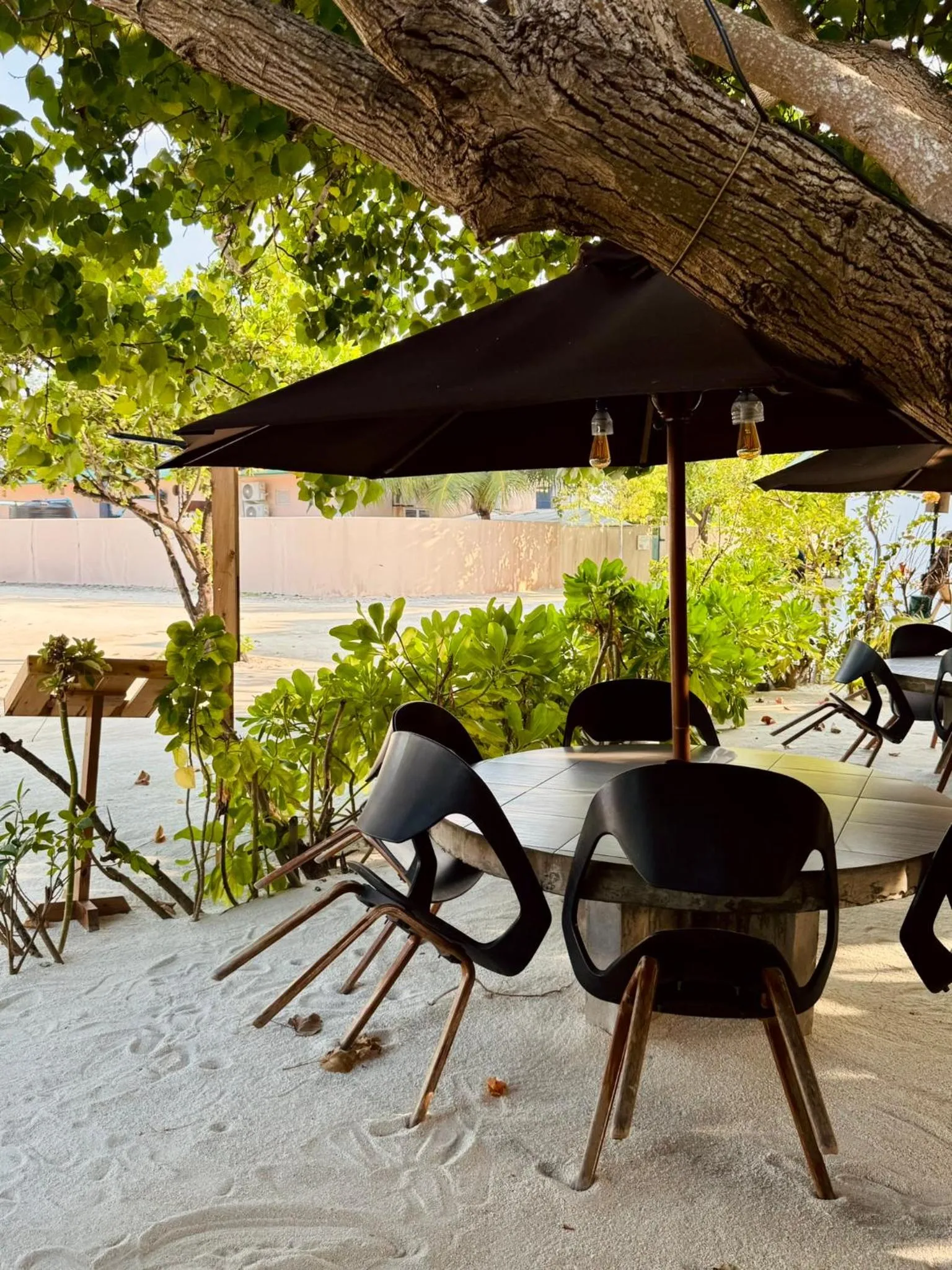 Restaurant/places to eat in Ameera Maldives