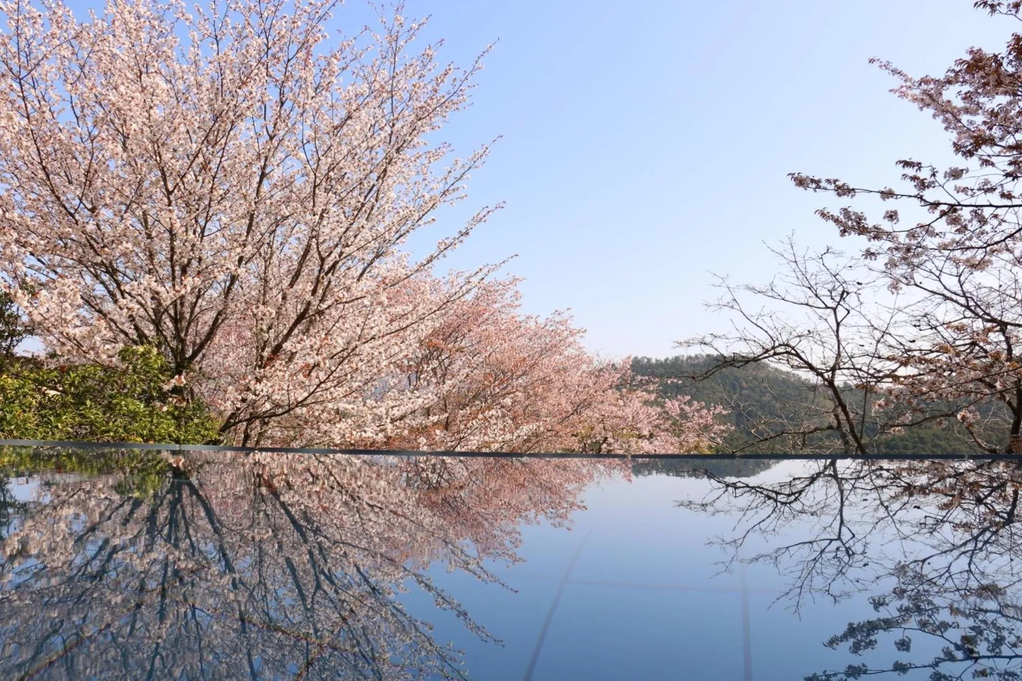 Natural landscape in 吉野荘湯川屋 Yoshinosou Yukawaya