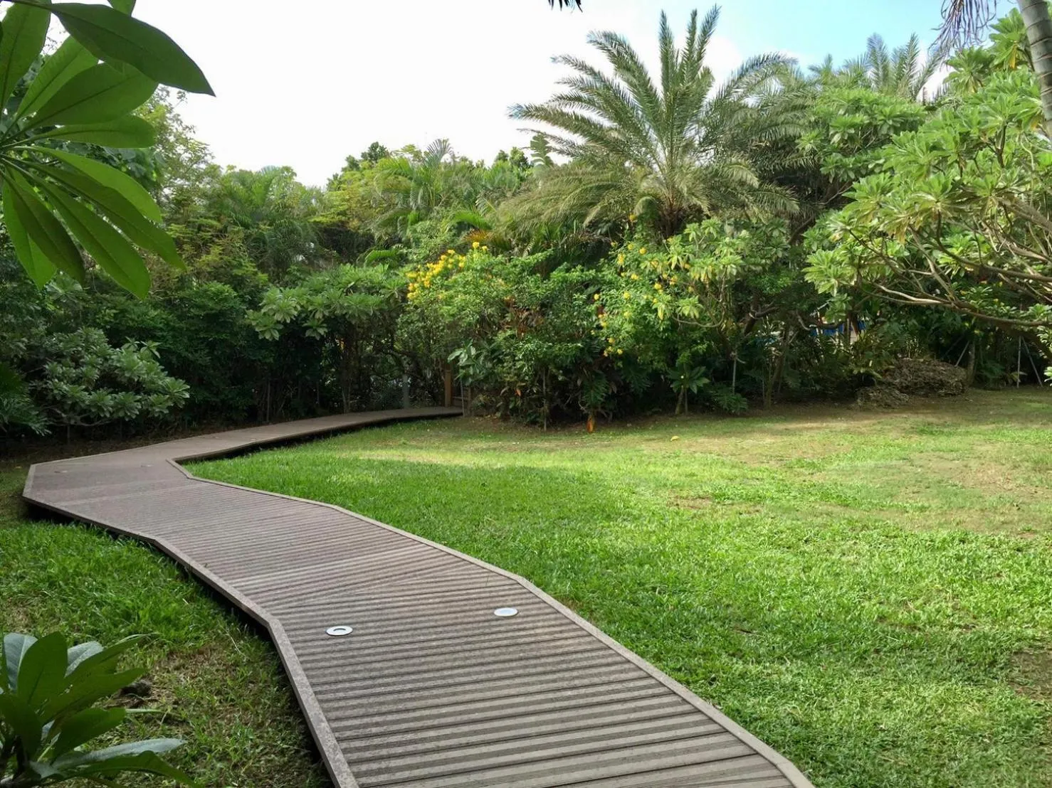 Garden in The House 15 Villa