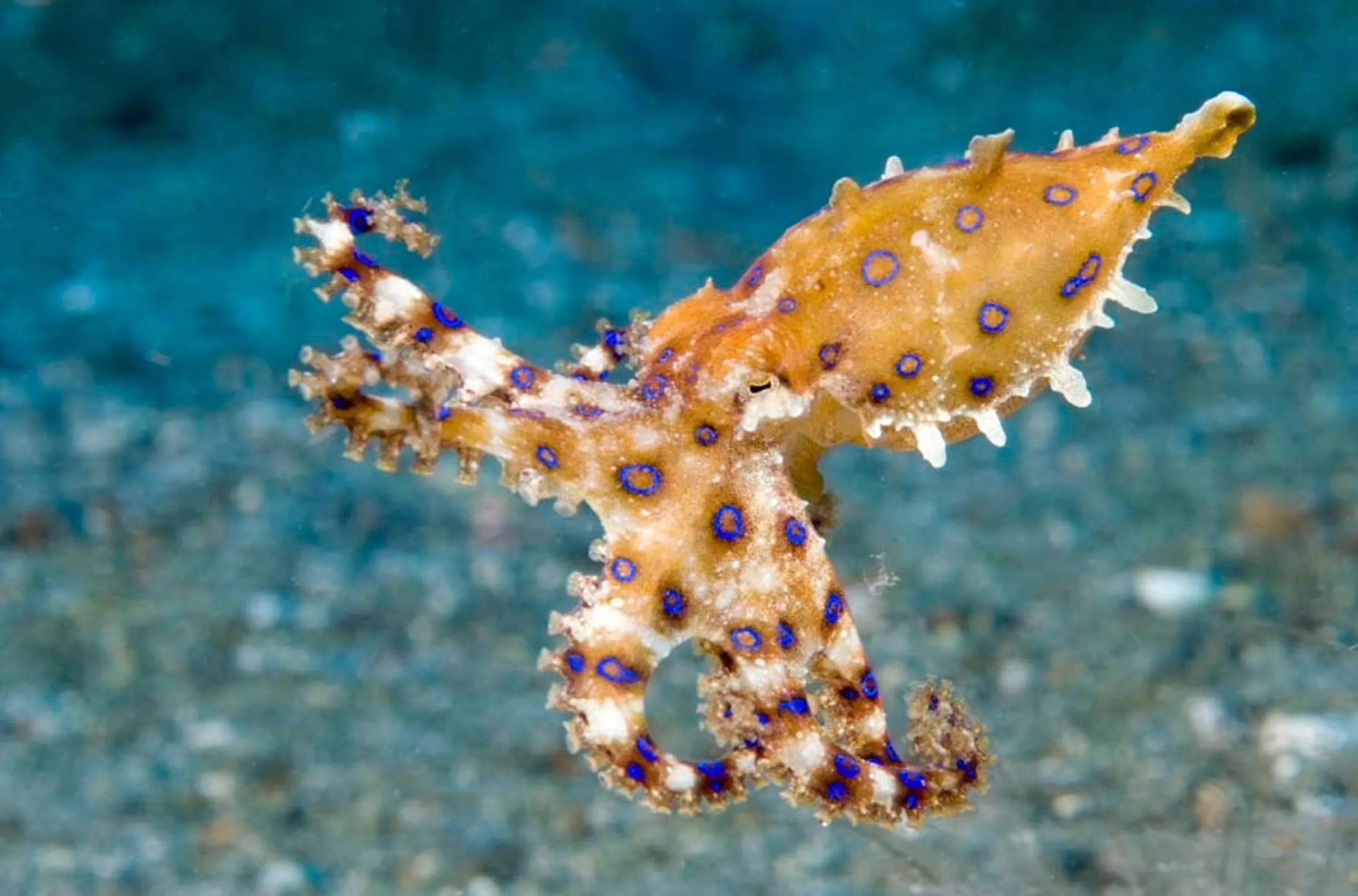 Off site in Sun Suko Boutique Resort