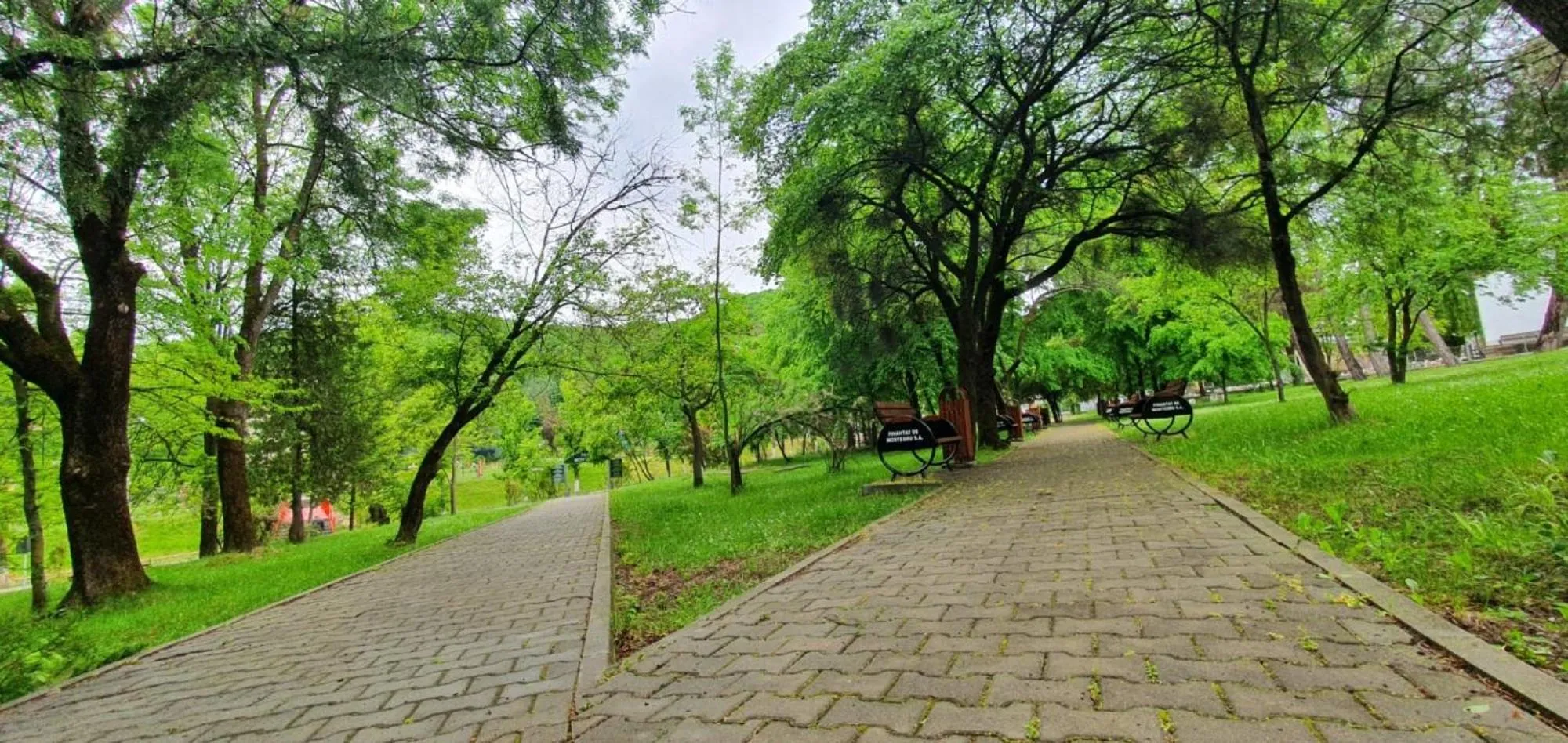 Natural landscape in Hotel Monteoru